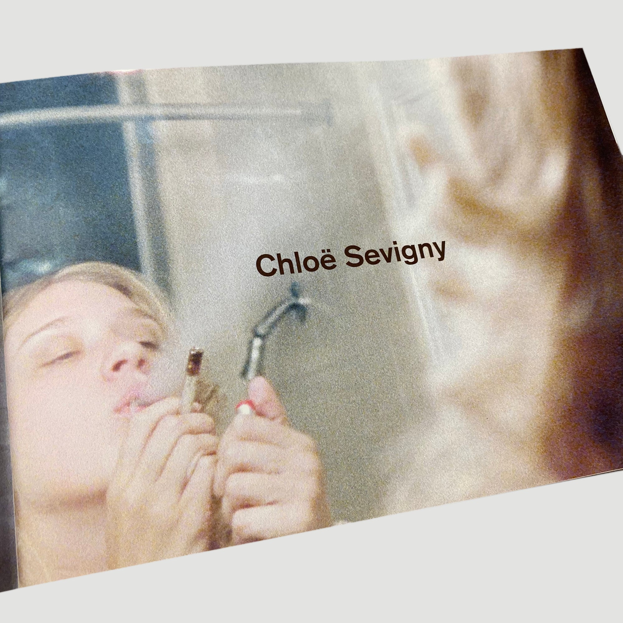 2003 'Brown Bunny' Japanese Brochure