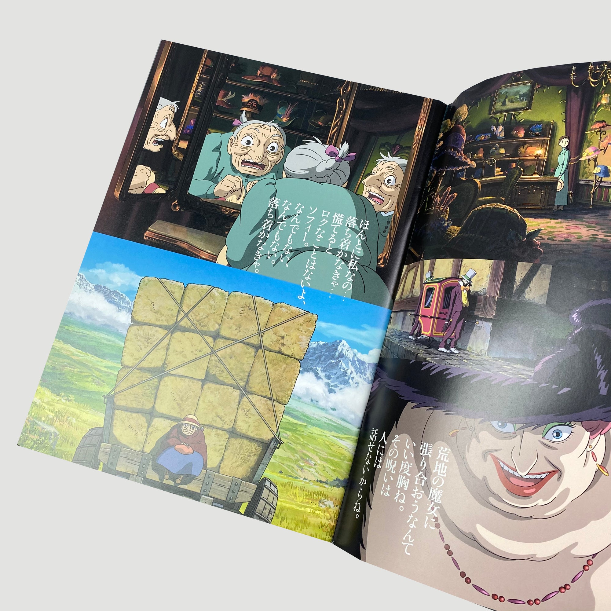 2004 Howl’s Moving Castle Japanese Movie Pamphlet