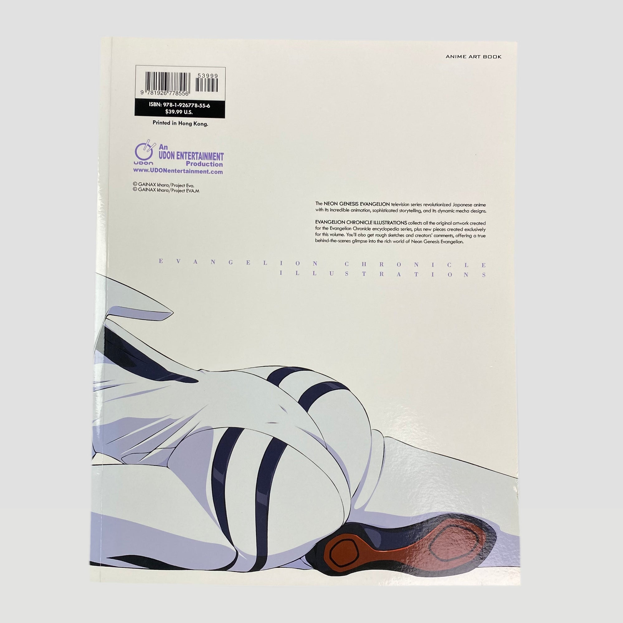 2012 Evangelion Chronicle Illustrations