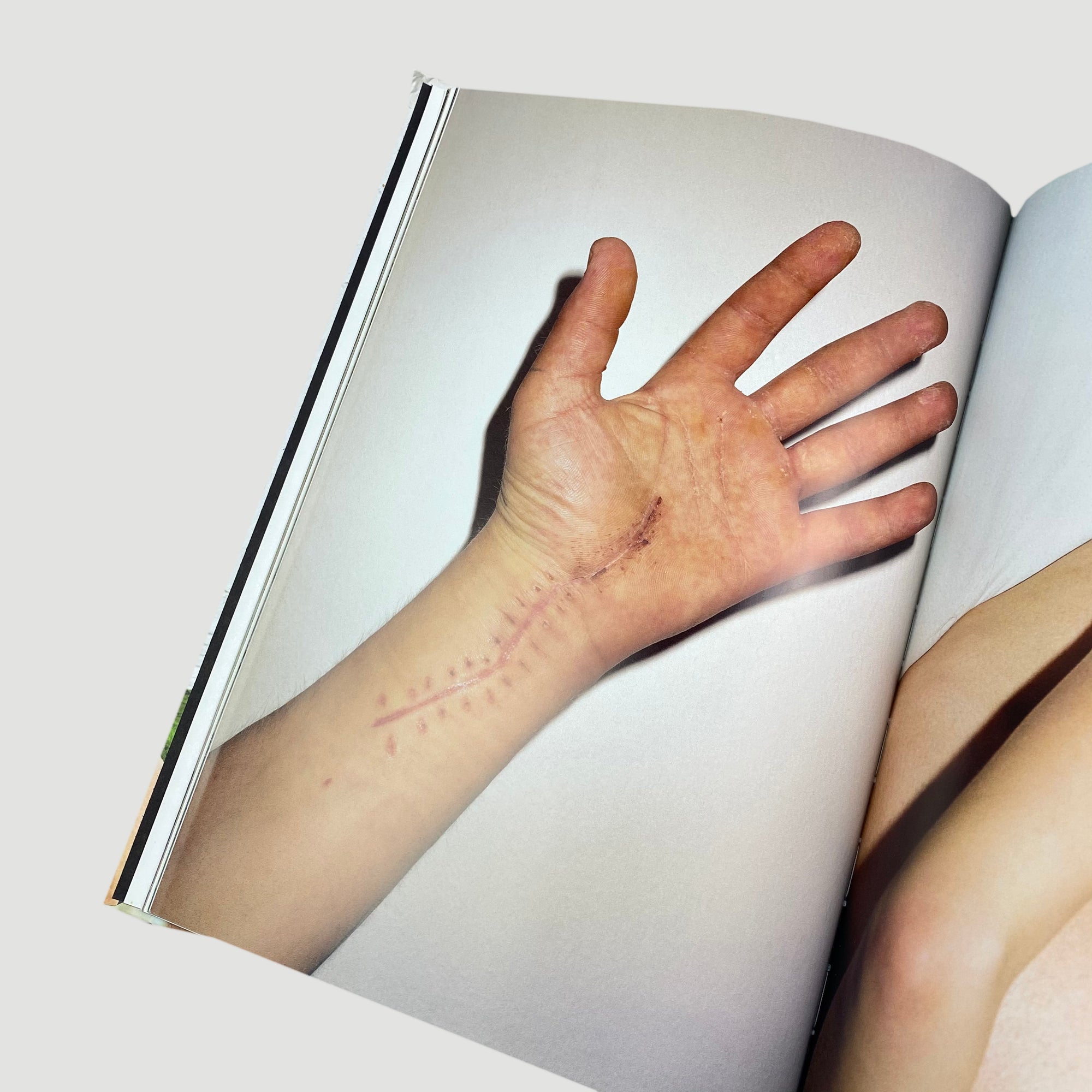 2005 Diana Scheunemann 'Diana Scheunemann'