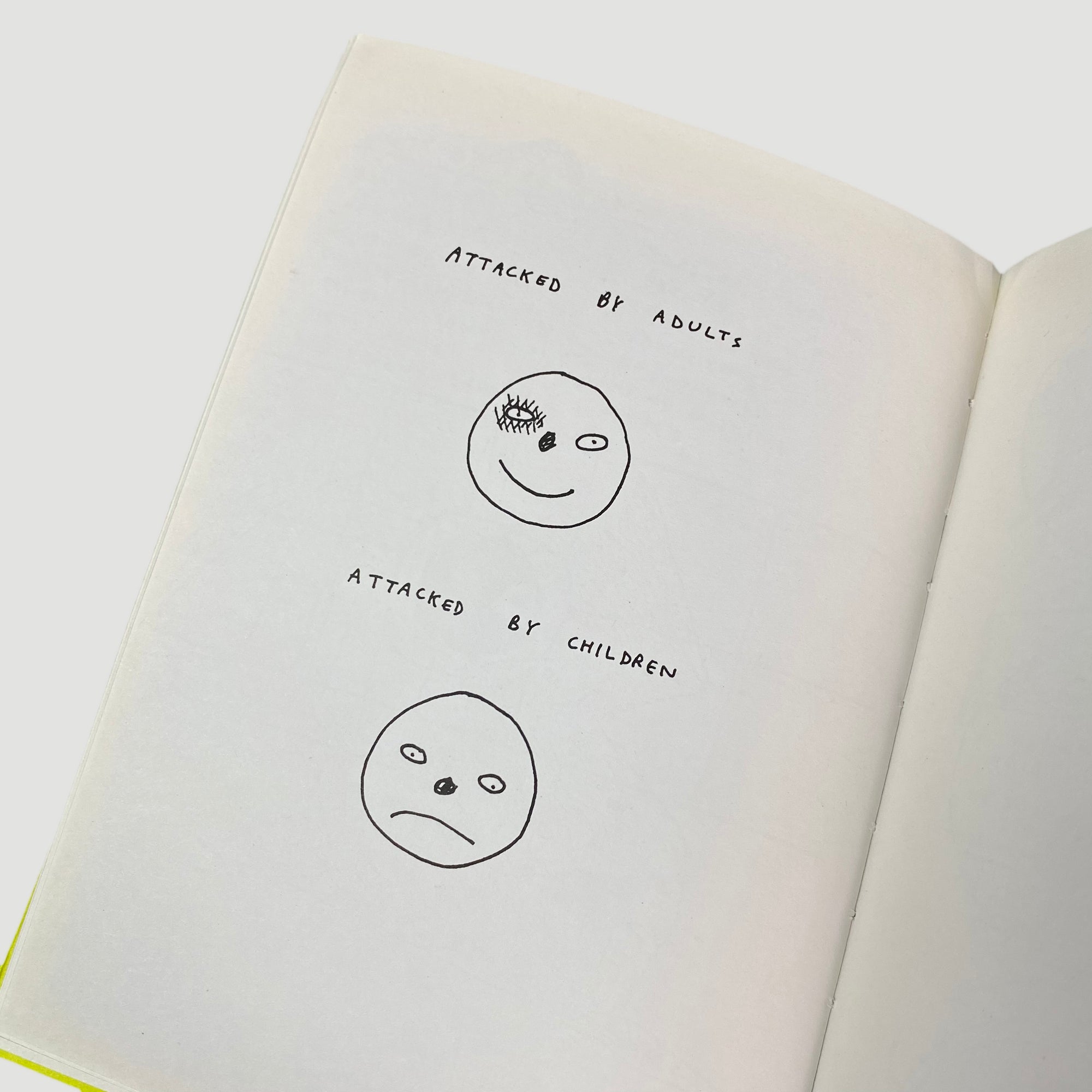 2008 David Shrigley ERR