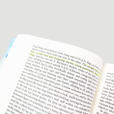 1996 David Foster Wallace 'Infinite Jest' First Edition