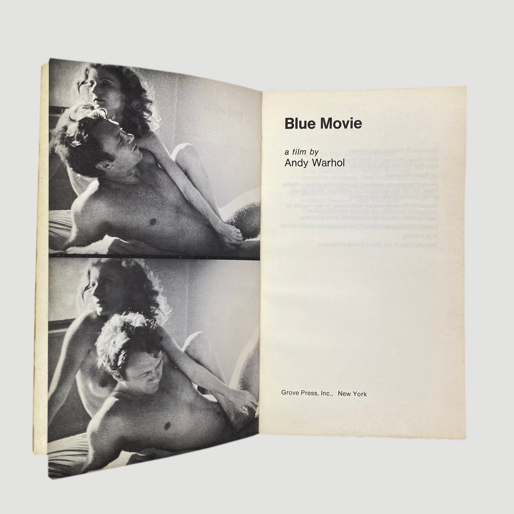 1970 Andy Warhol 'Blue Movie' First Edition