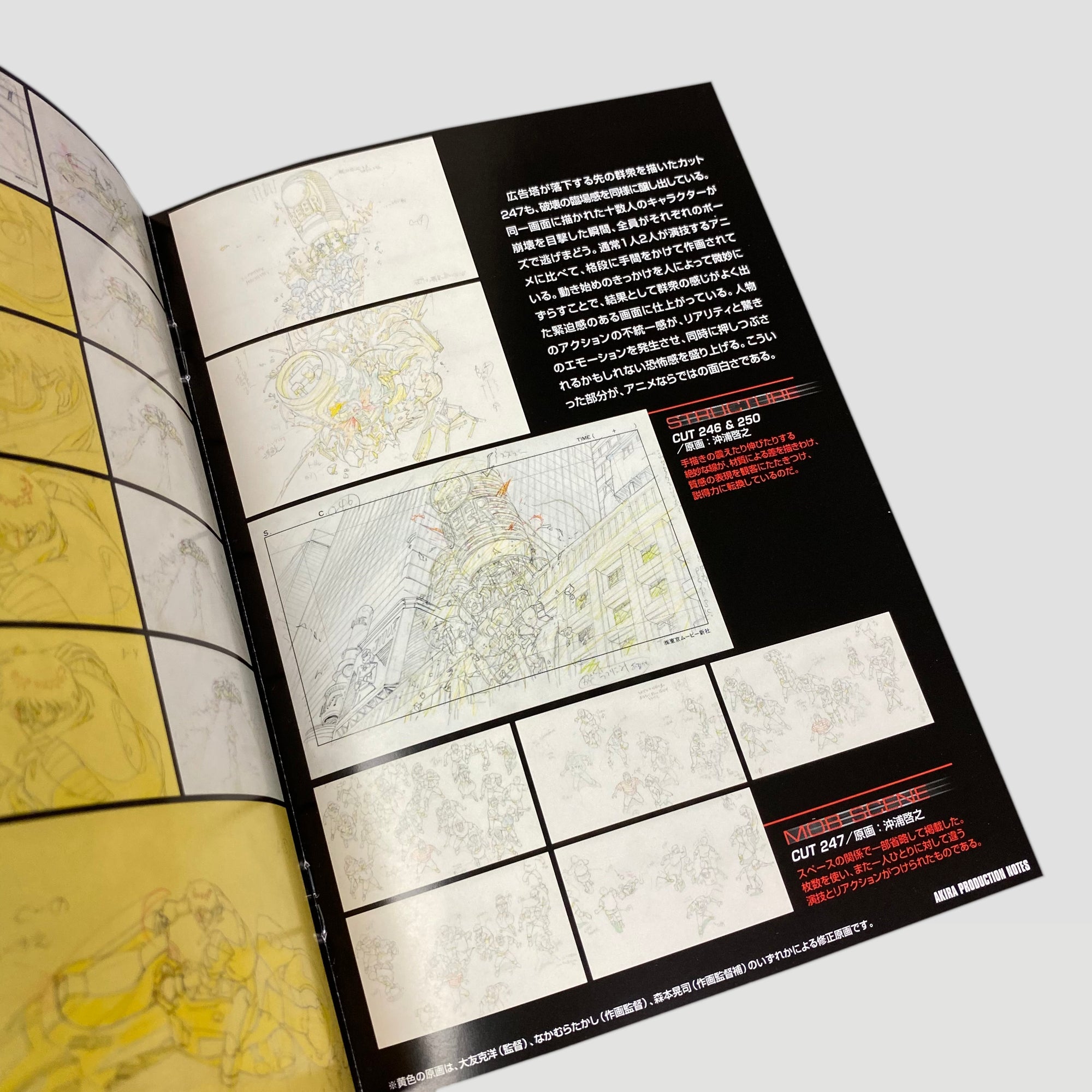 2001 Akira Japanese DVD Special Edition Boxset