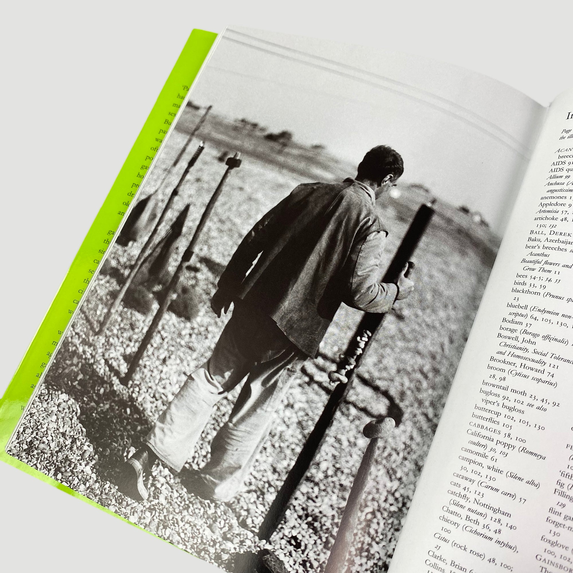 1995 Derek Jarman 'Derek Jarman's Garden'