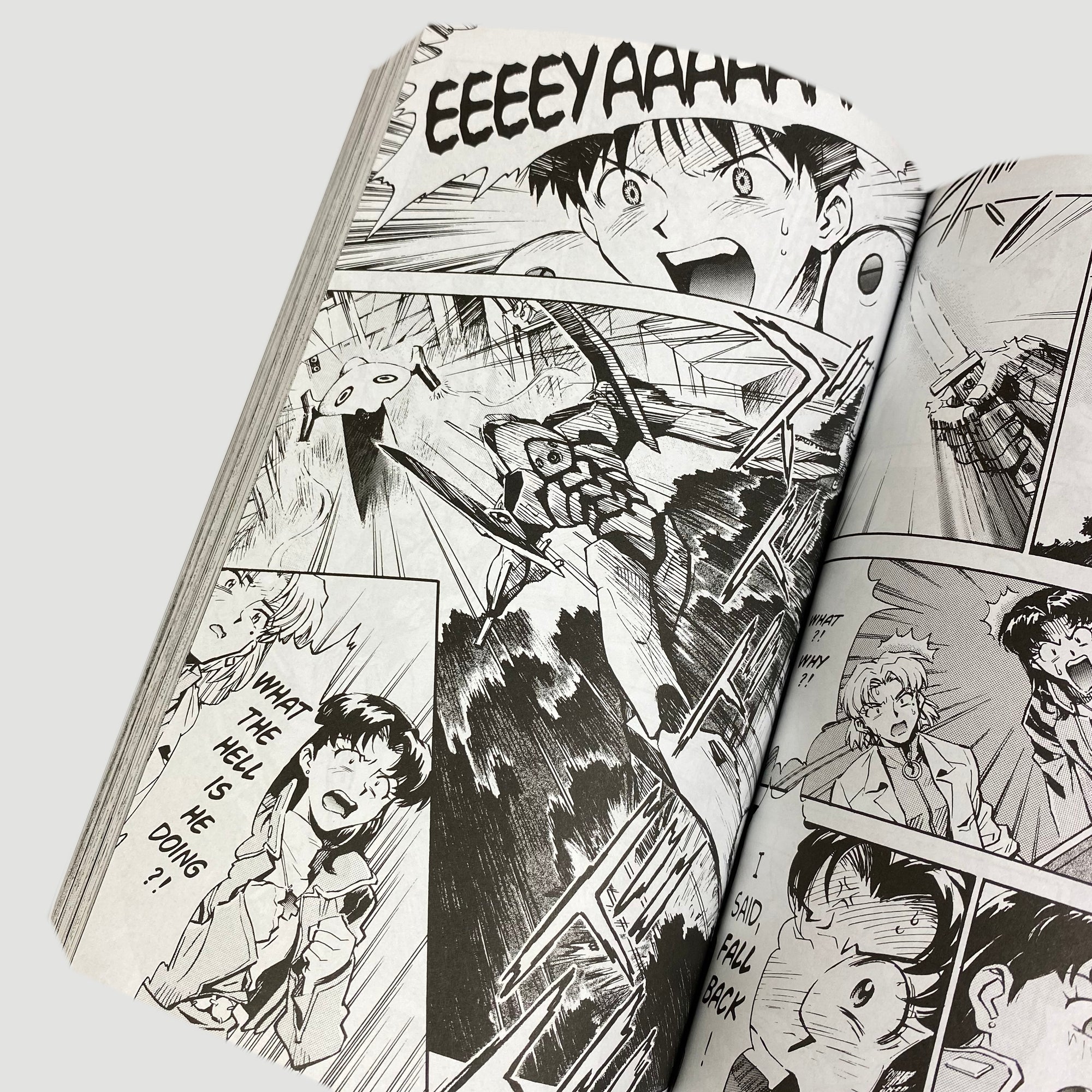 2017 Neon Genesis Evanglion Graphic Novel