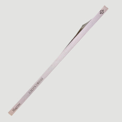 1984 Magritte by Richard Calvocoressi