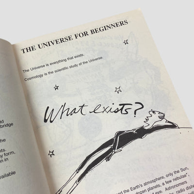 1995 Universe for Beginners