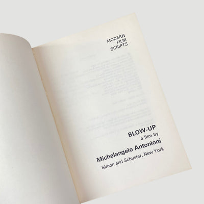 1971 Michelangelo Antonioni 'Blow-Up'