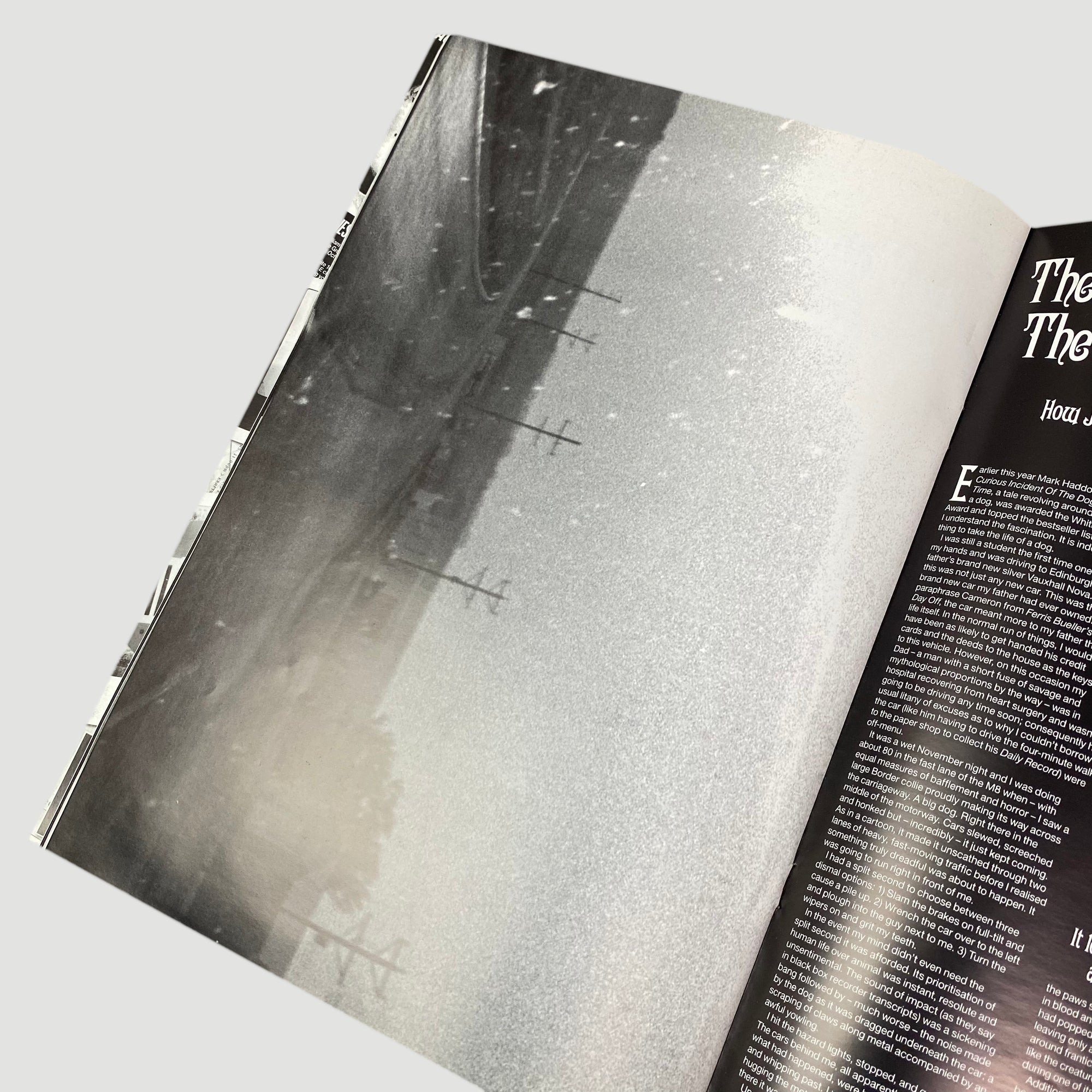 2004 Socialism Vincent Gallo Issue