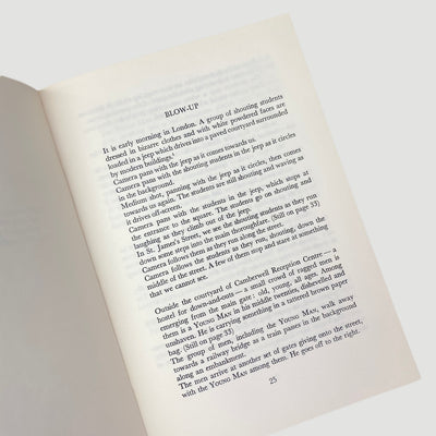 1971 Michelangelo Antonioni 'Blow-Up'