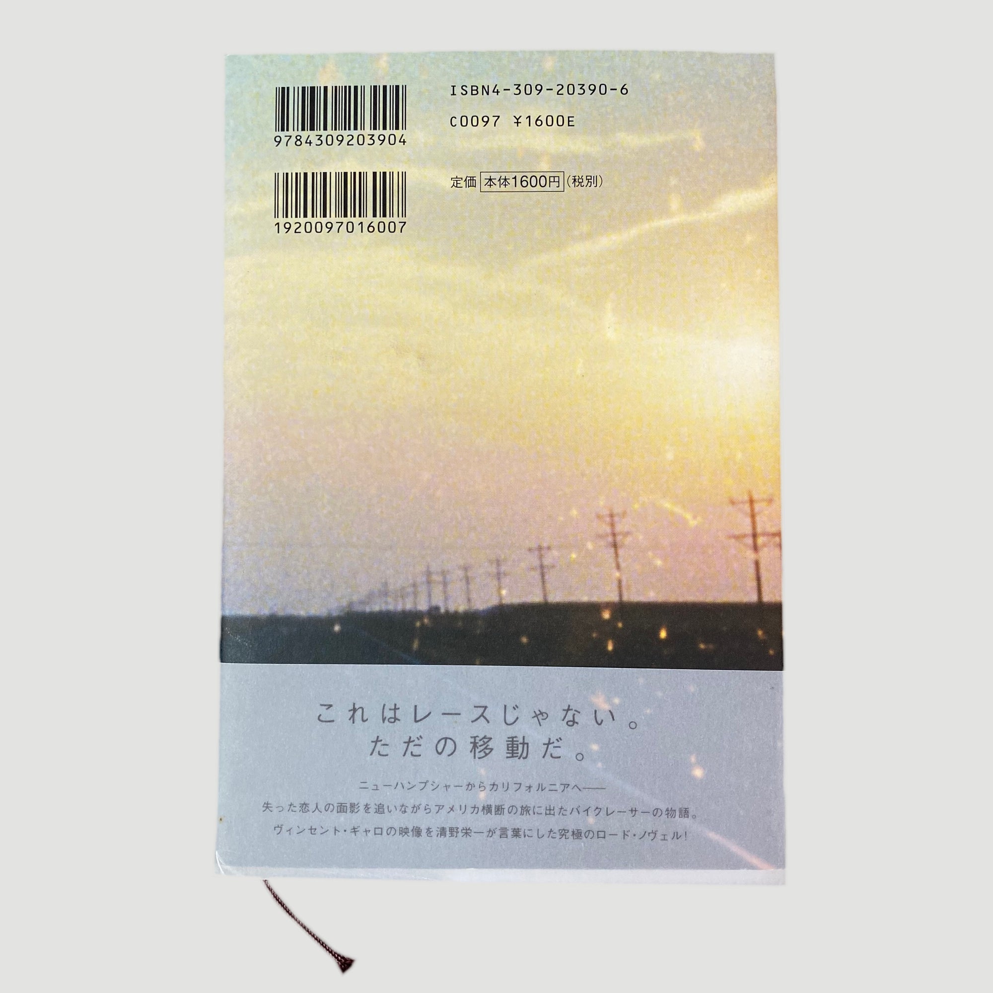 2003 Vincent Gallo's Brown Bunny Japanese Guide