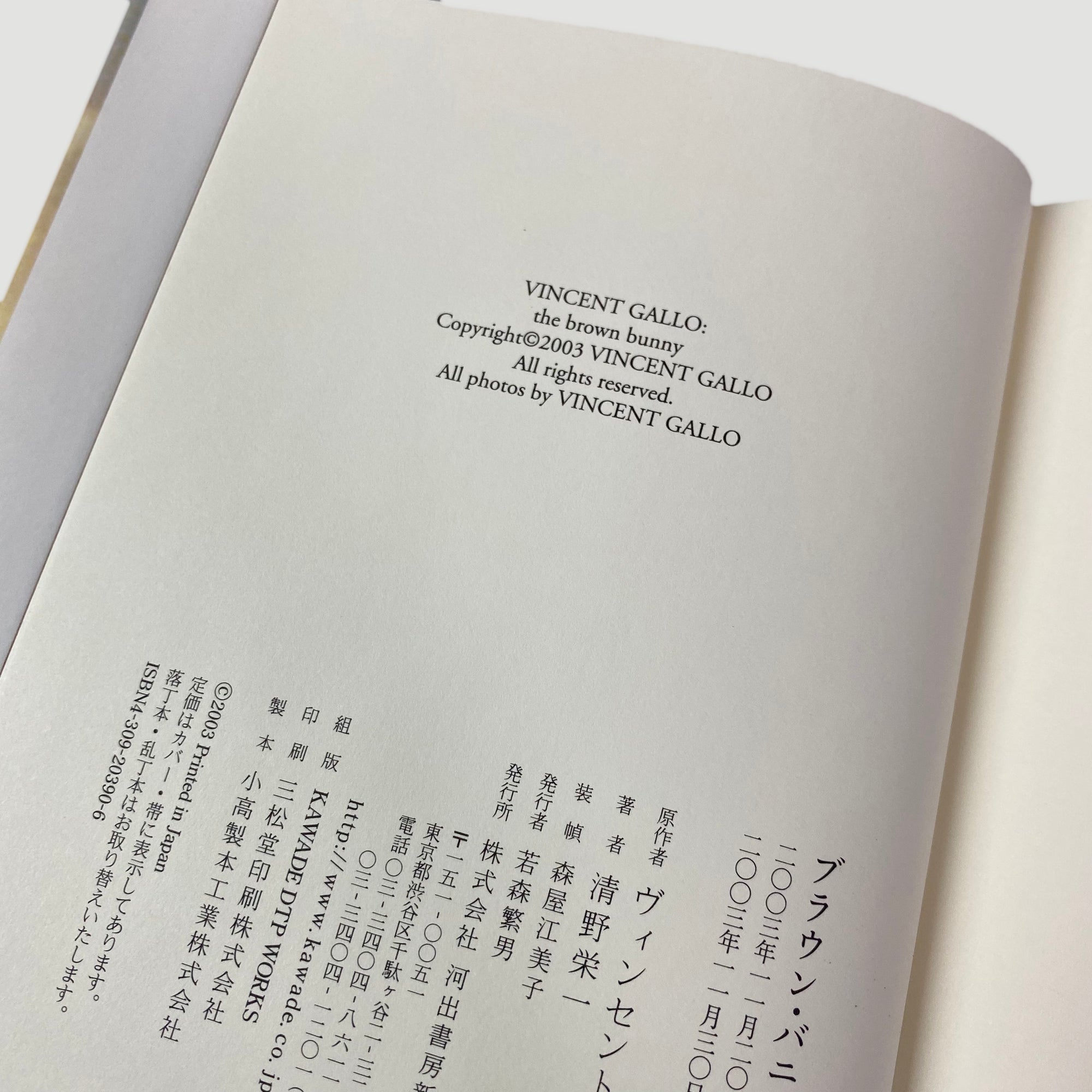 2003 Vincent Gallo's Brown Bunny Japanese Guide