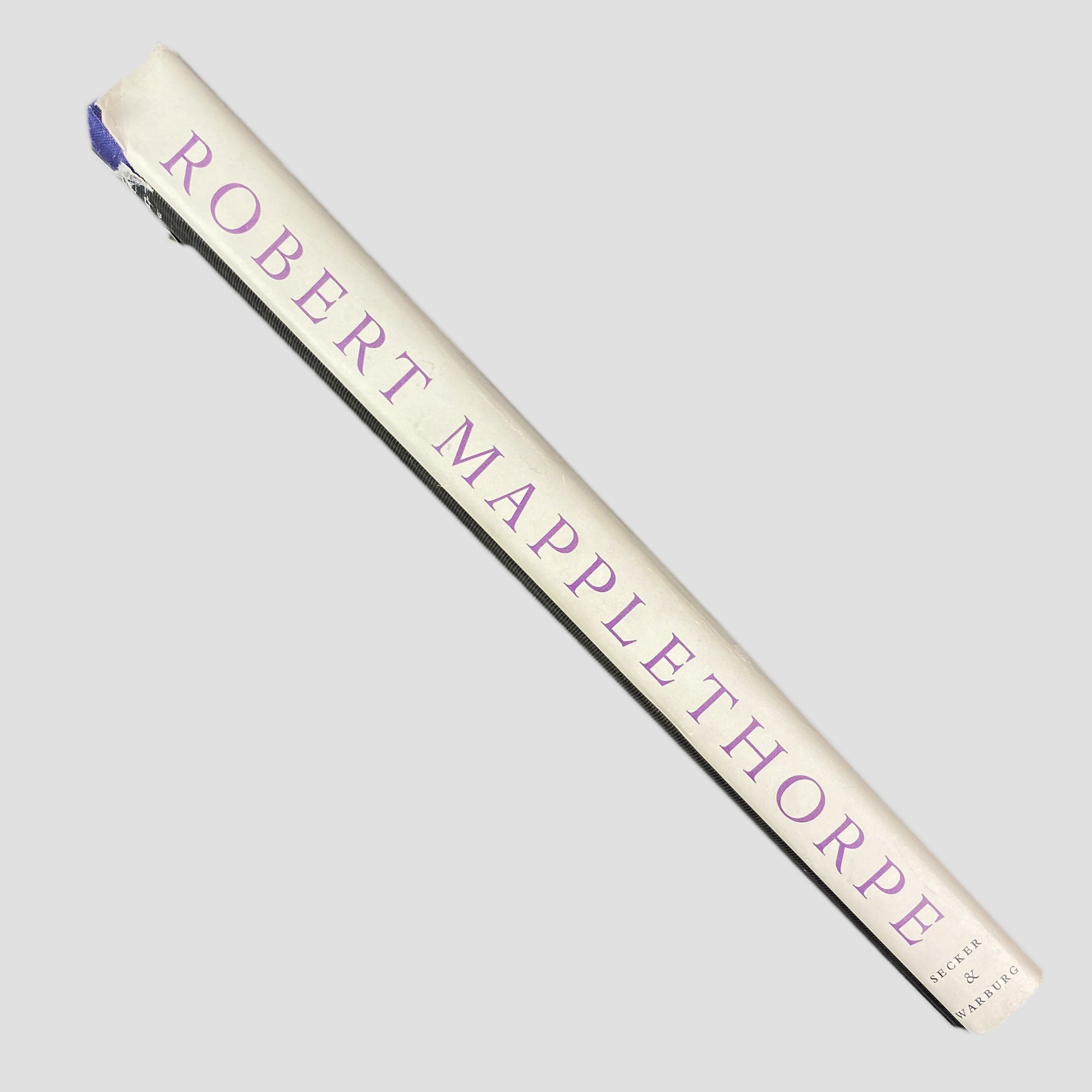 1988 Robert Mapplethorpe Whitney Museum