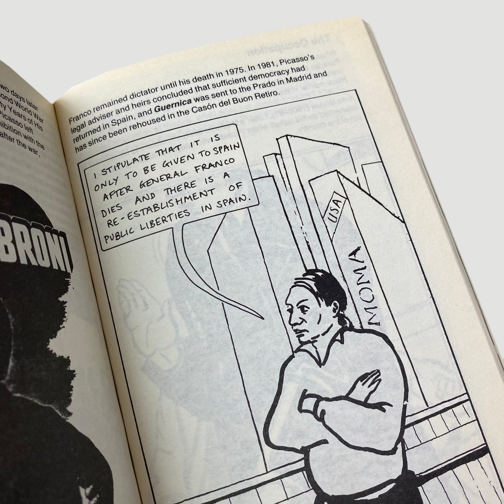 1995 Picasso for Beginners