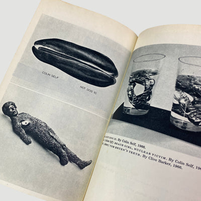 1969 Image as Language Pelican