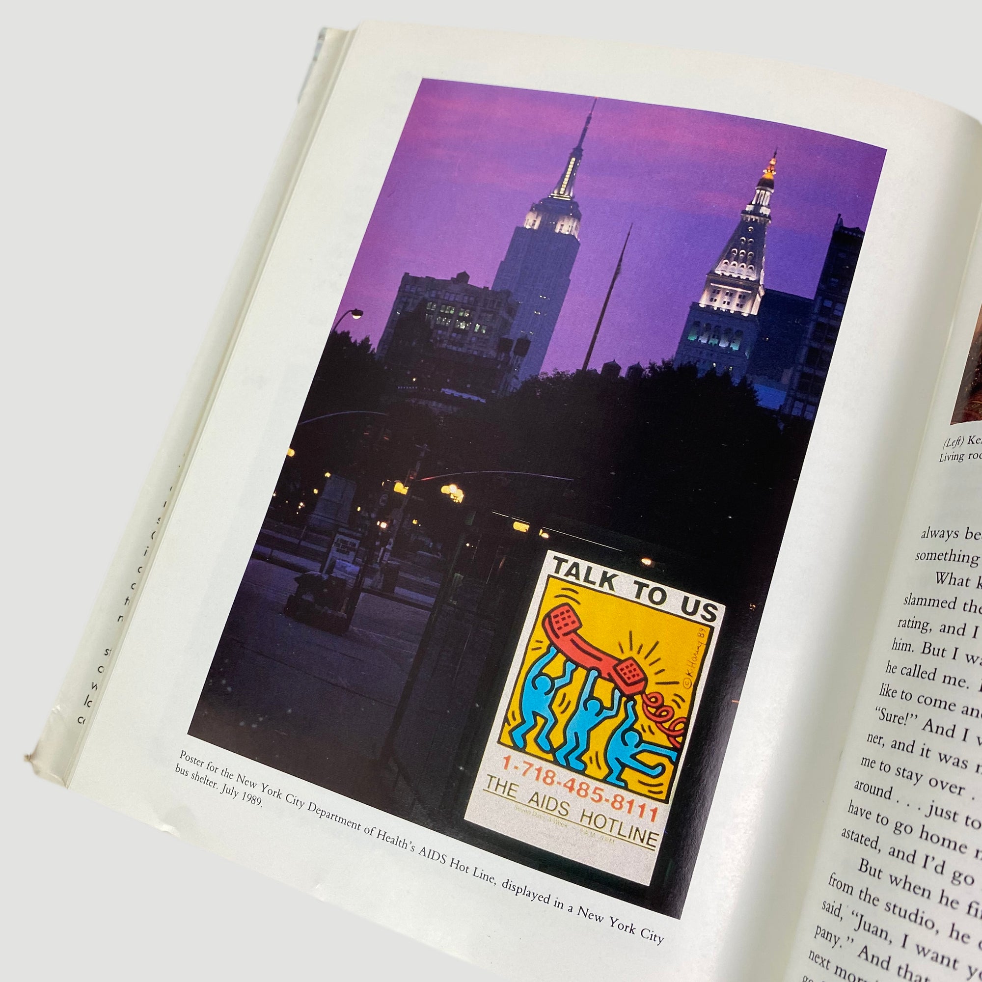 1991 John Gruen 'Keith Haring: The Authorised Biography'