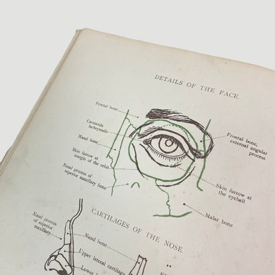 1915 'Anatomical Diagrams For The Use Of Art Students'
