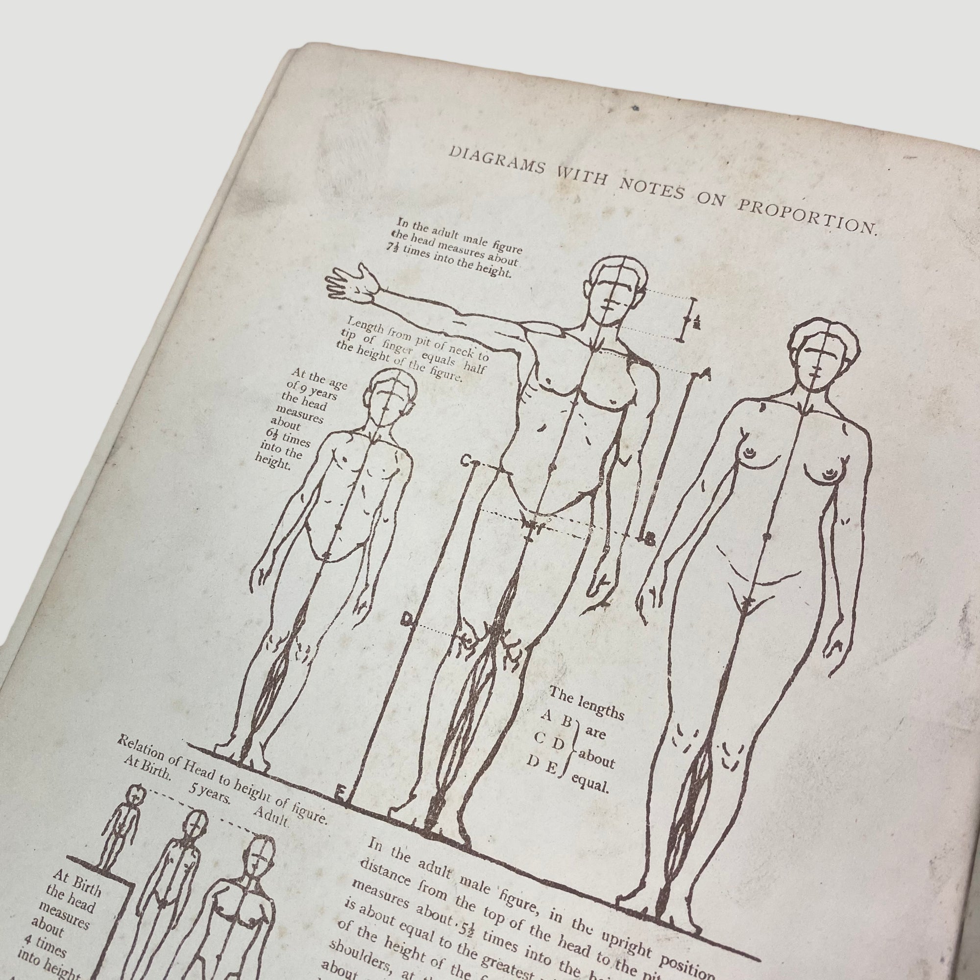 1915 'Anatomical Diagrams For The Use Of Art Students'