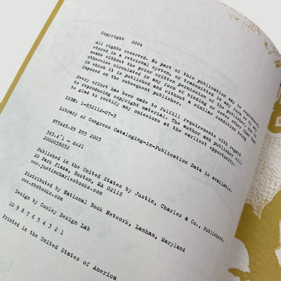 2004 Perfect Sound Forever : The Story of Pavement