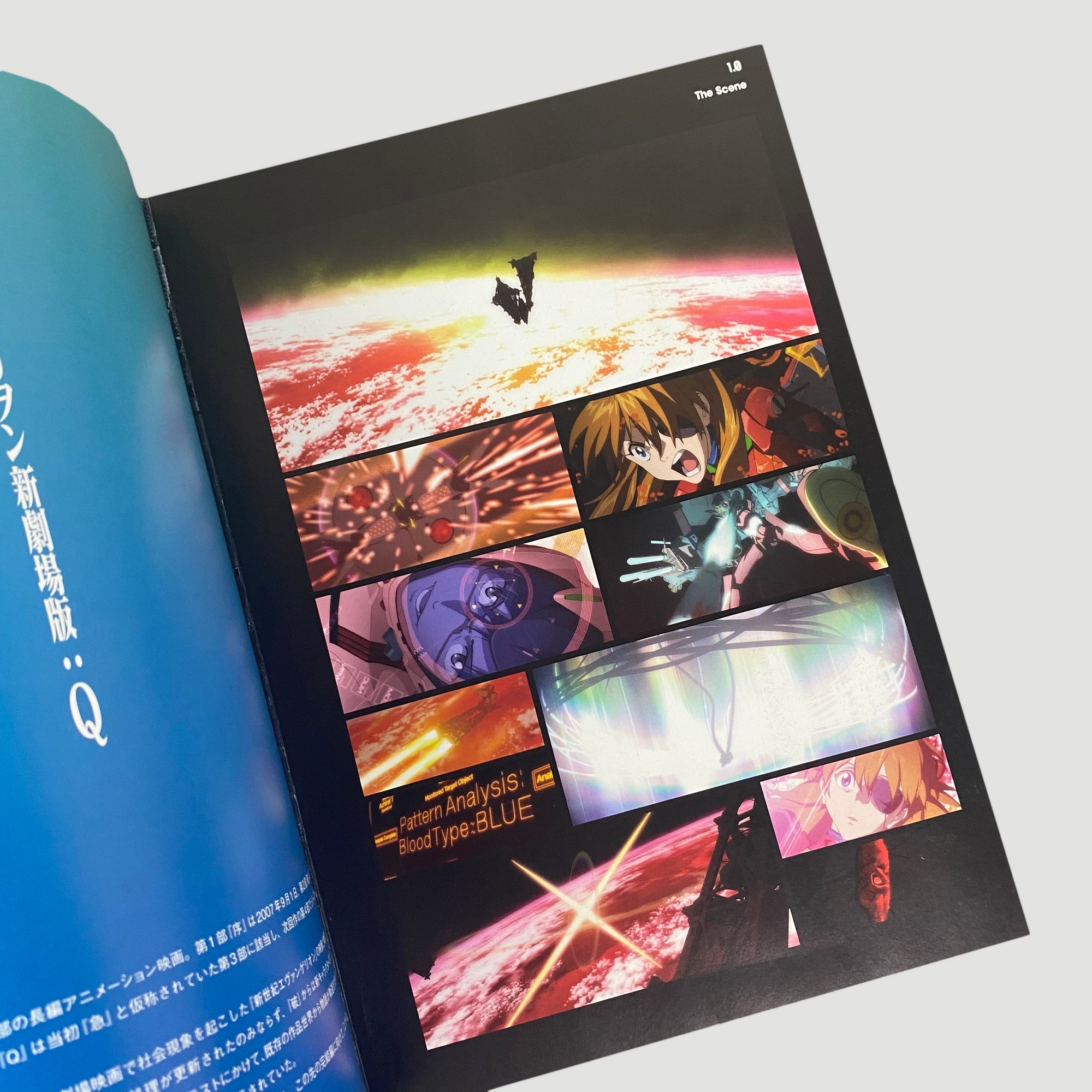 2012 Evangelion 3.0 You Can (Not) Redo Japanese Programme