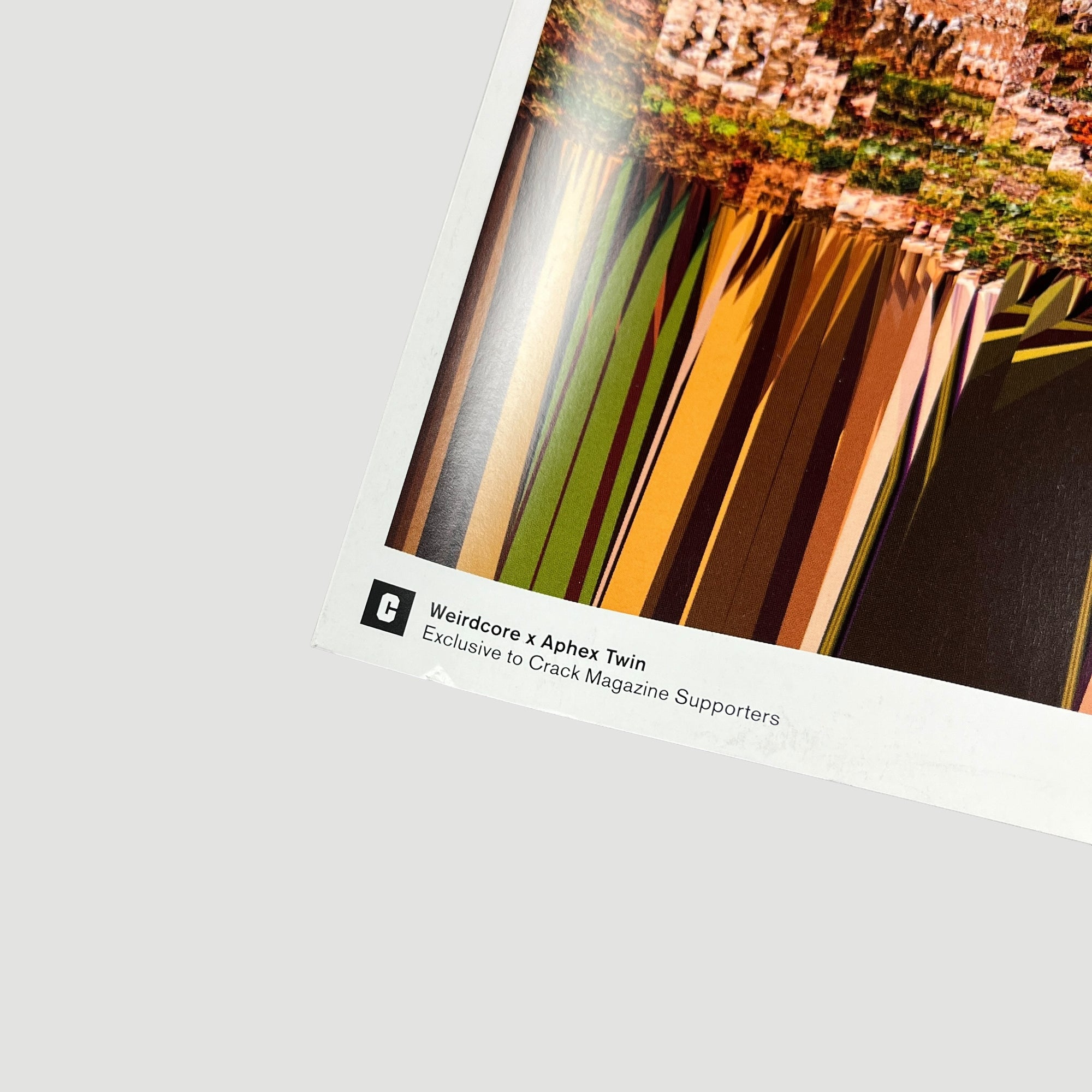 2017 Aphex Twin x Weirdcore Limited Edition Print