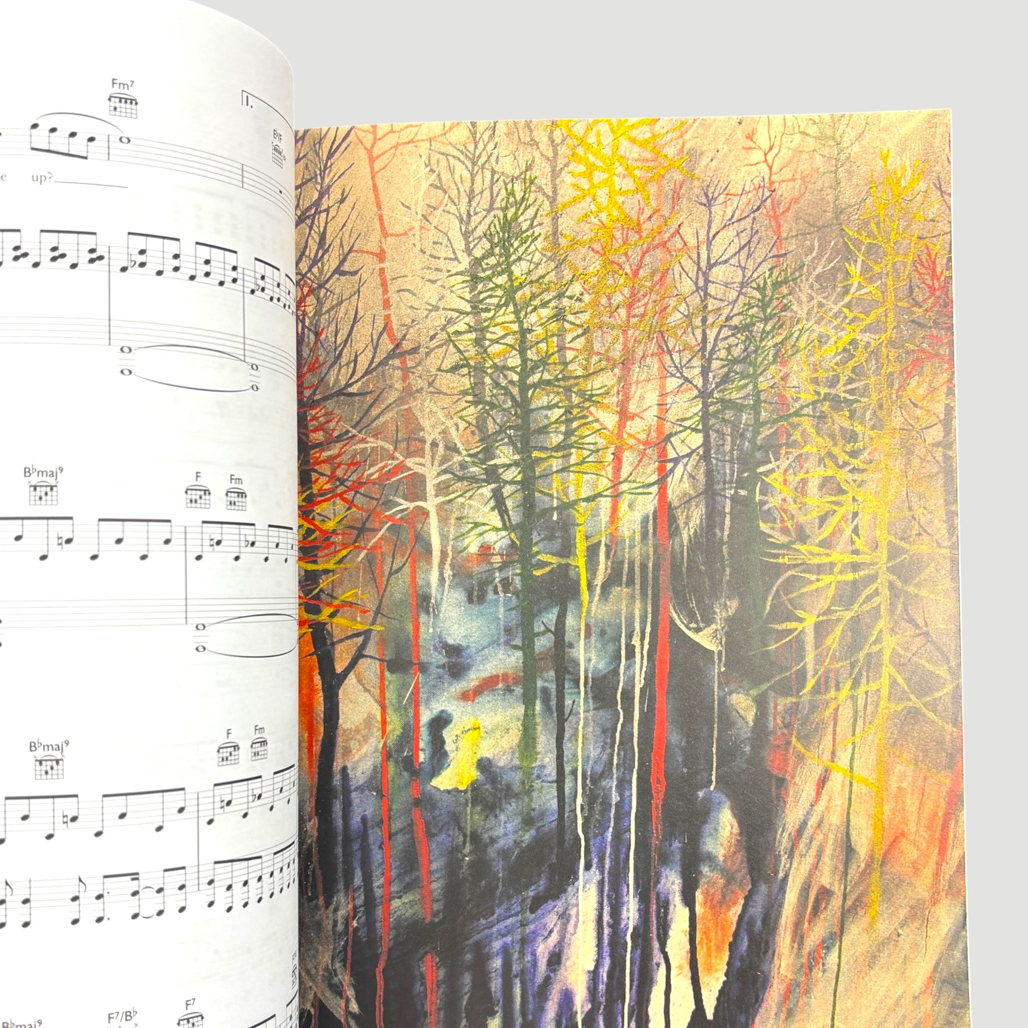 2001 Radiohead King of Limbs Piano/Guitar Songbook