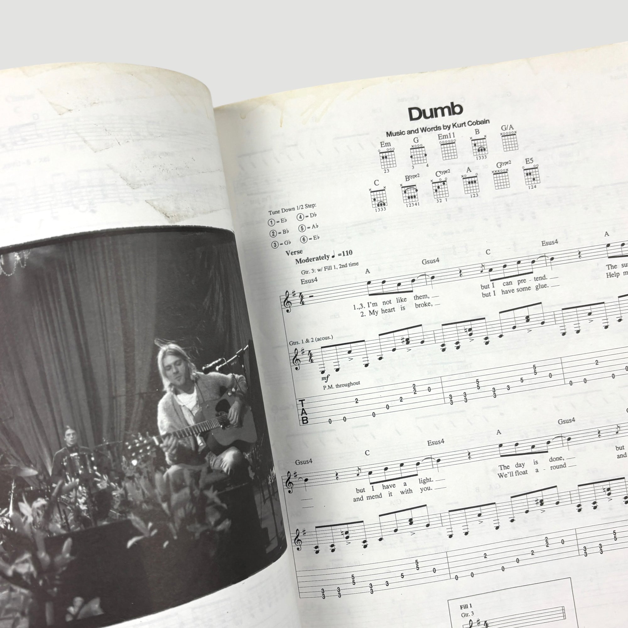 1995 Nirvana Unplugged in NYC Guitar Tab/Vocals