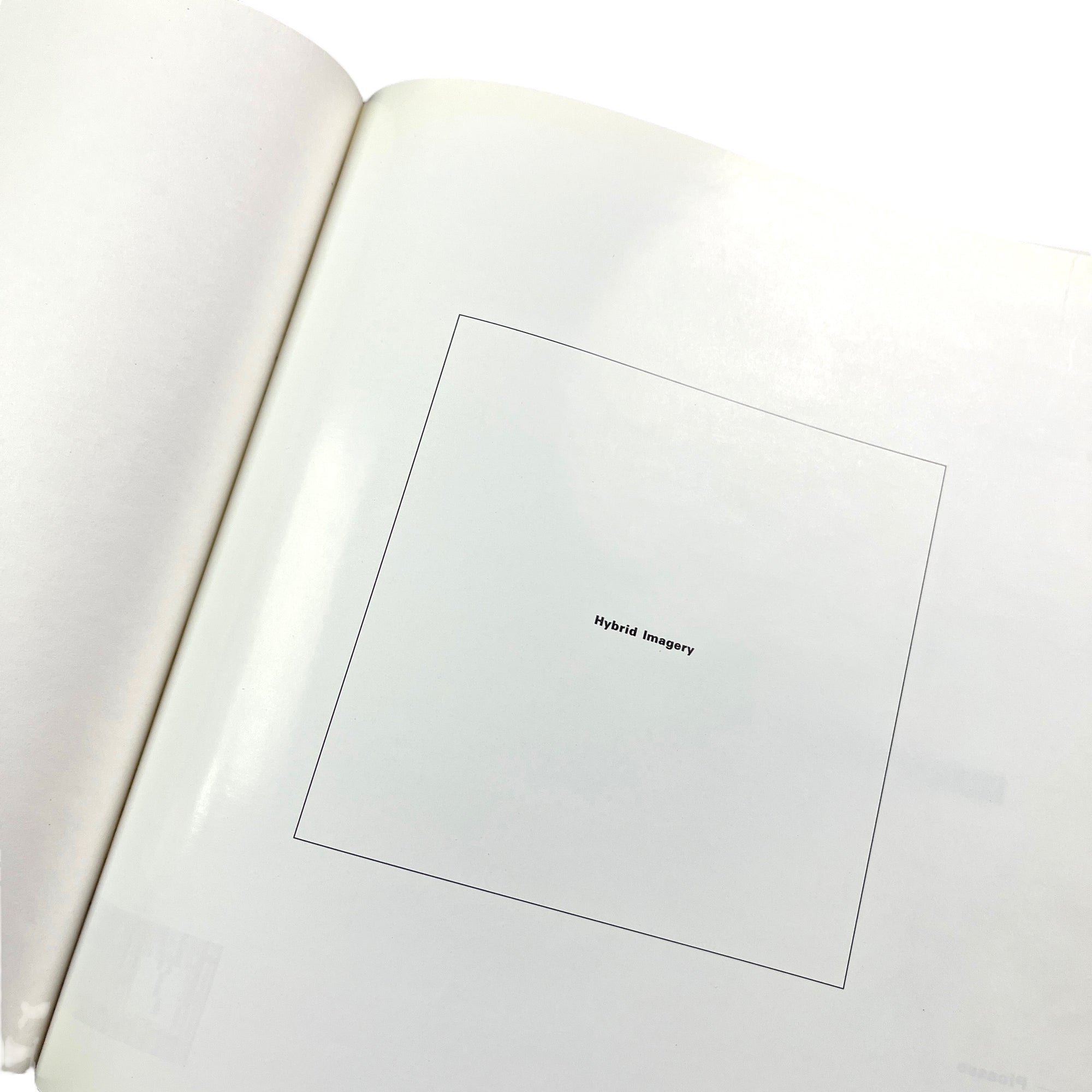 1990 Hybrid Imagery: The Fusion of Technology & Graphic Design