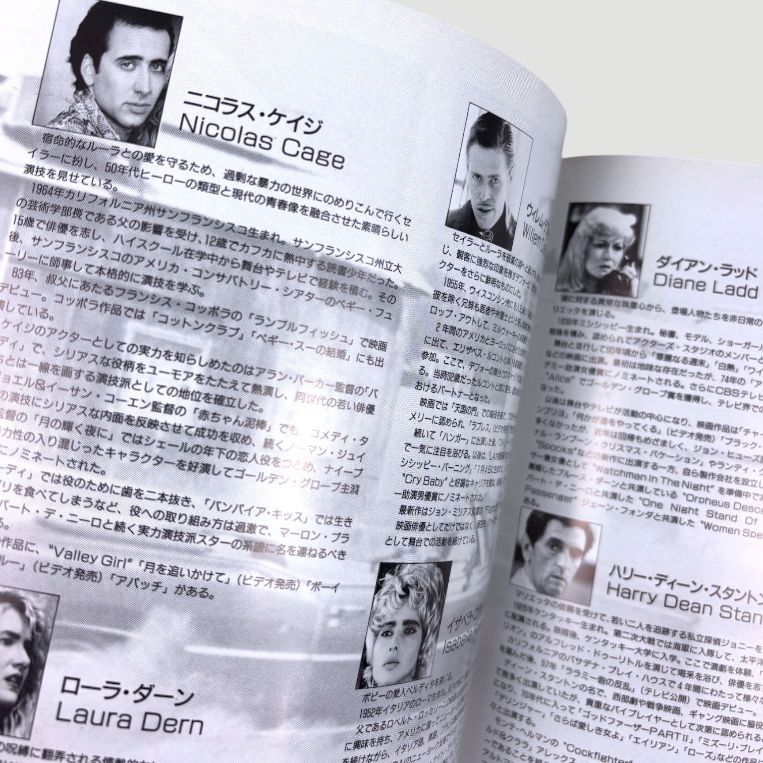 1990 Wild at Heart Japanese Programme