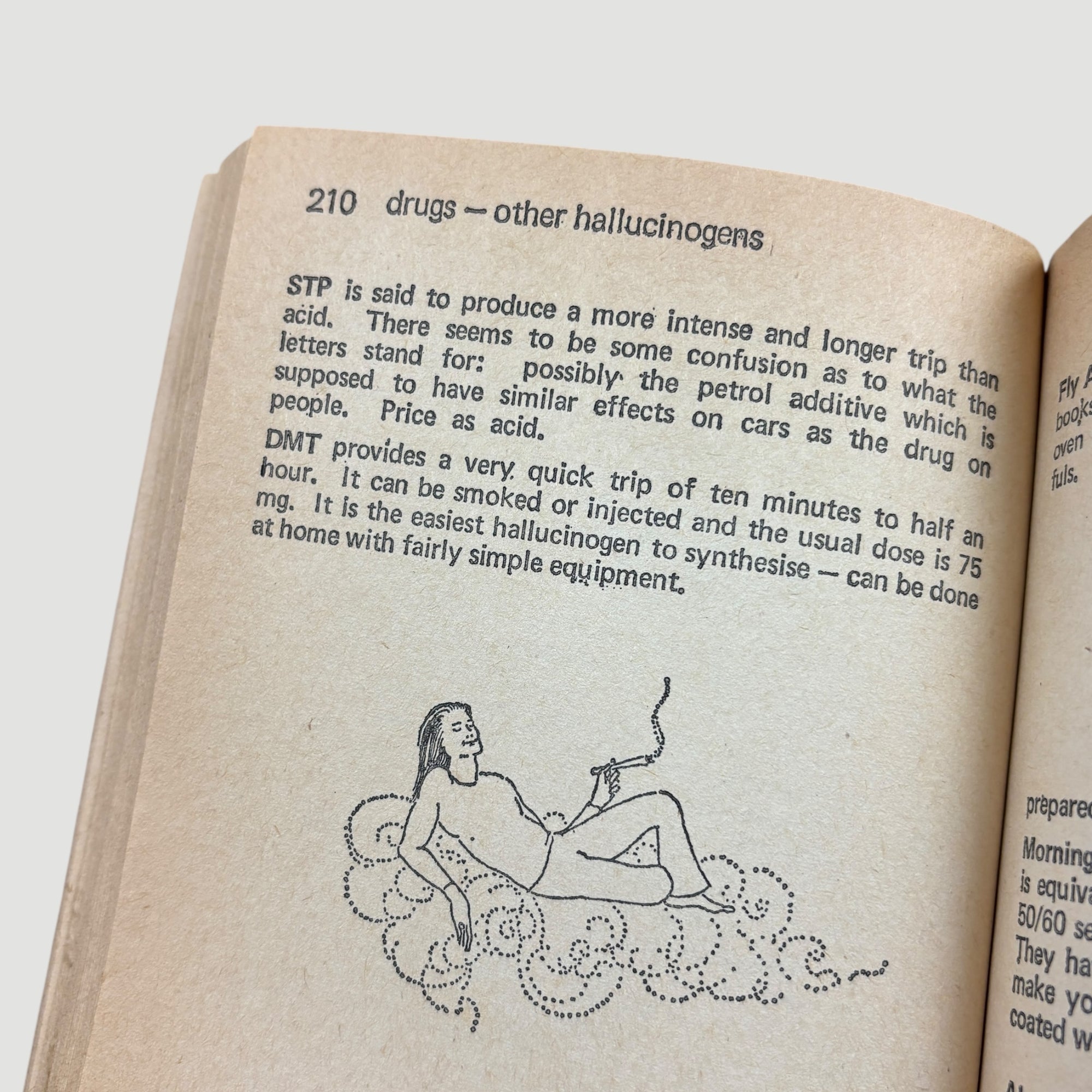 1971 Alternative London 2nd Edition