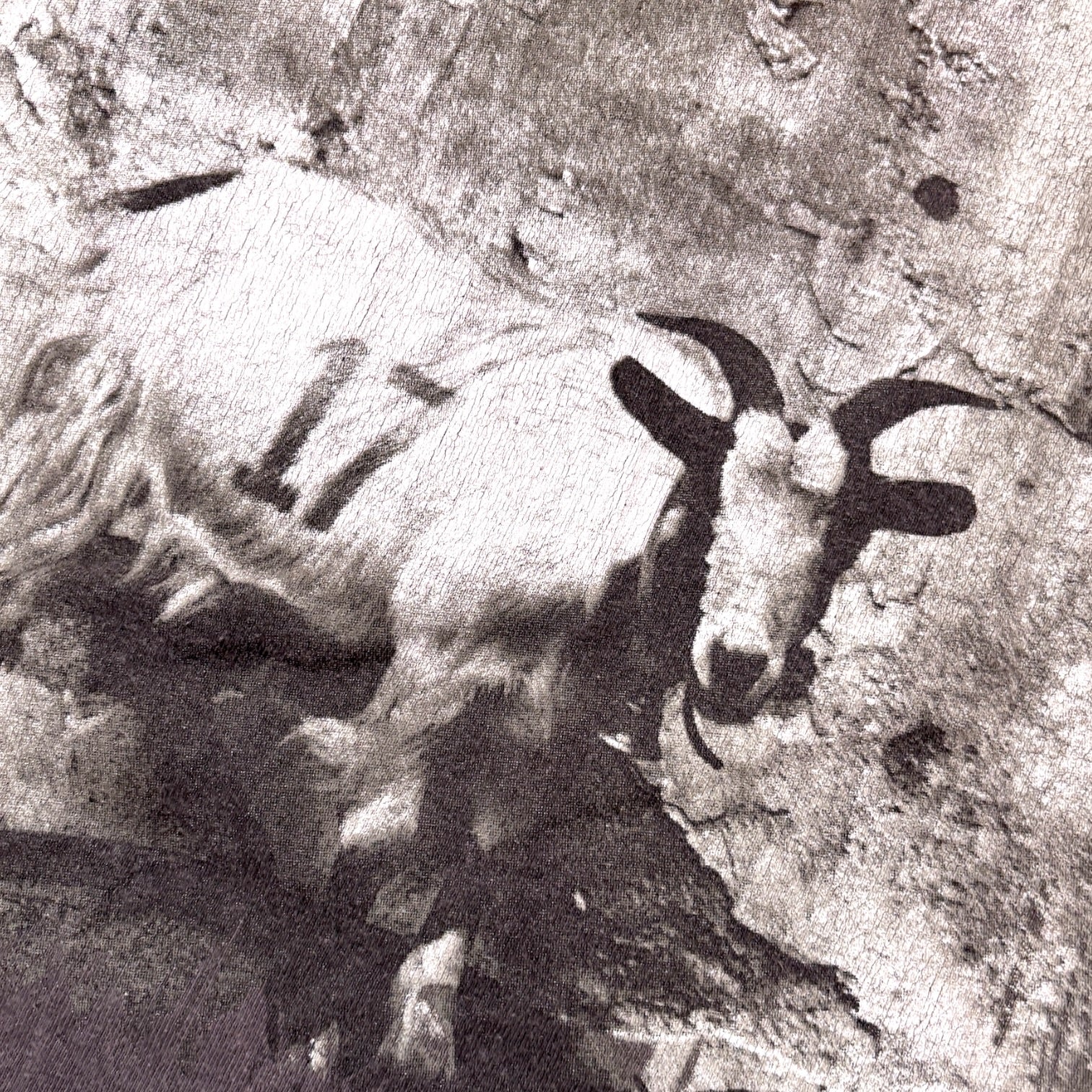1998 Smashing Pumpkins Adore Goat T-Shirt