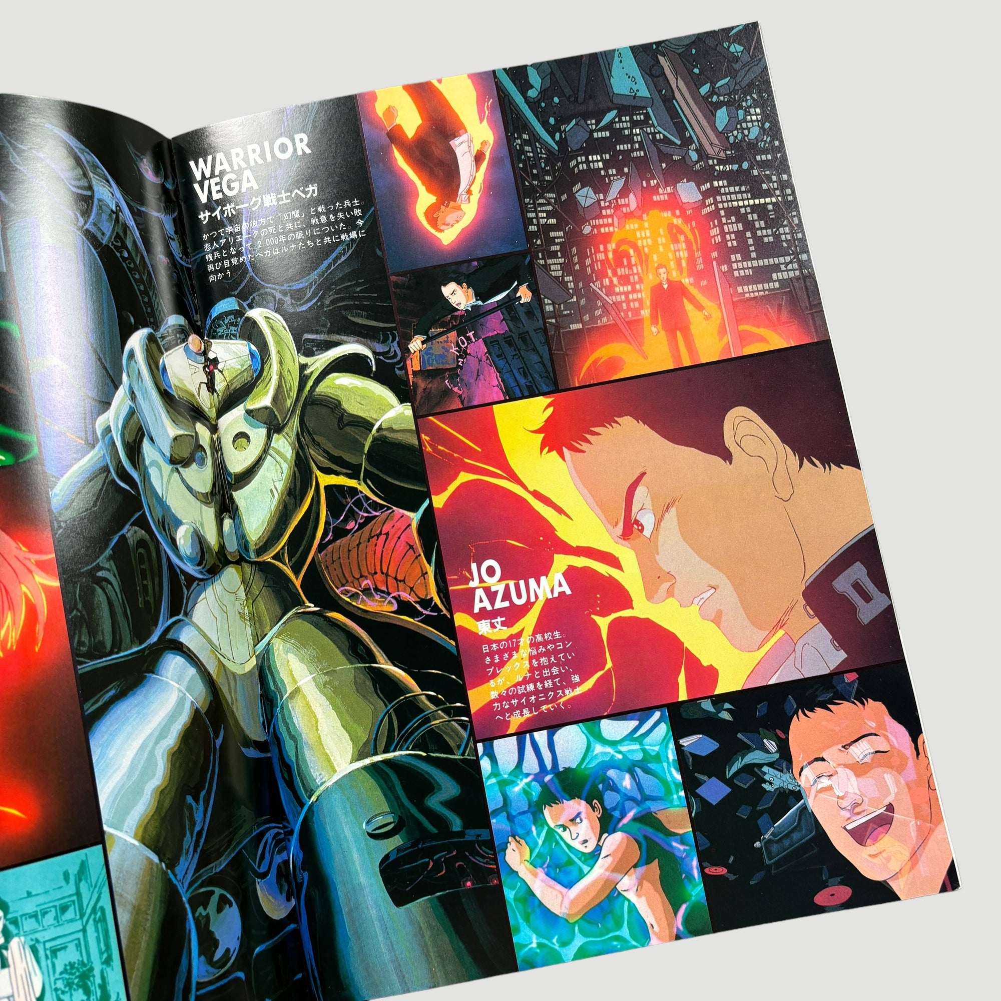 1982 Harmagedon Japanese Movie Programme