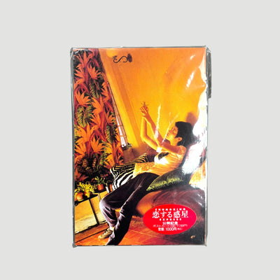 1996 Chungking Express Japanese 30 Postcard Set