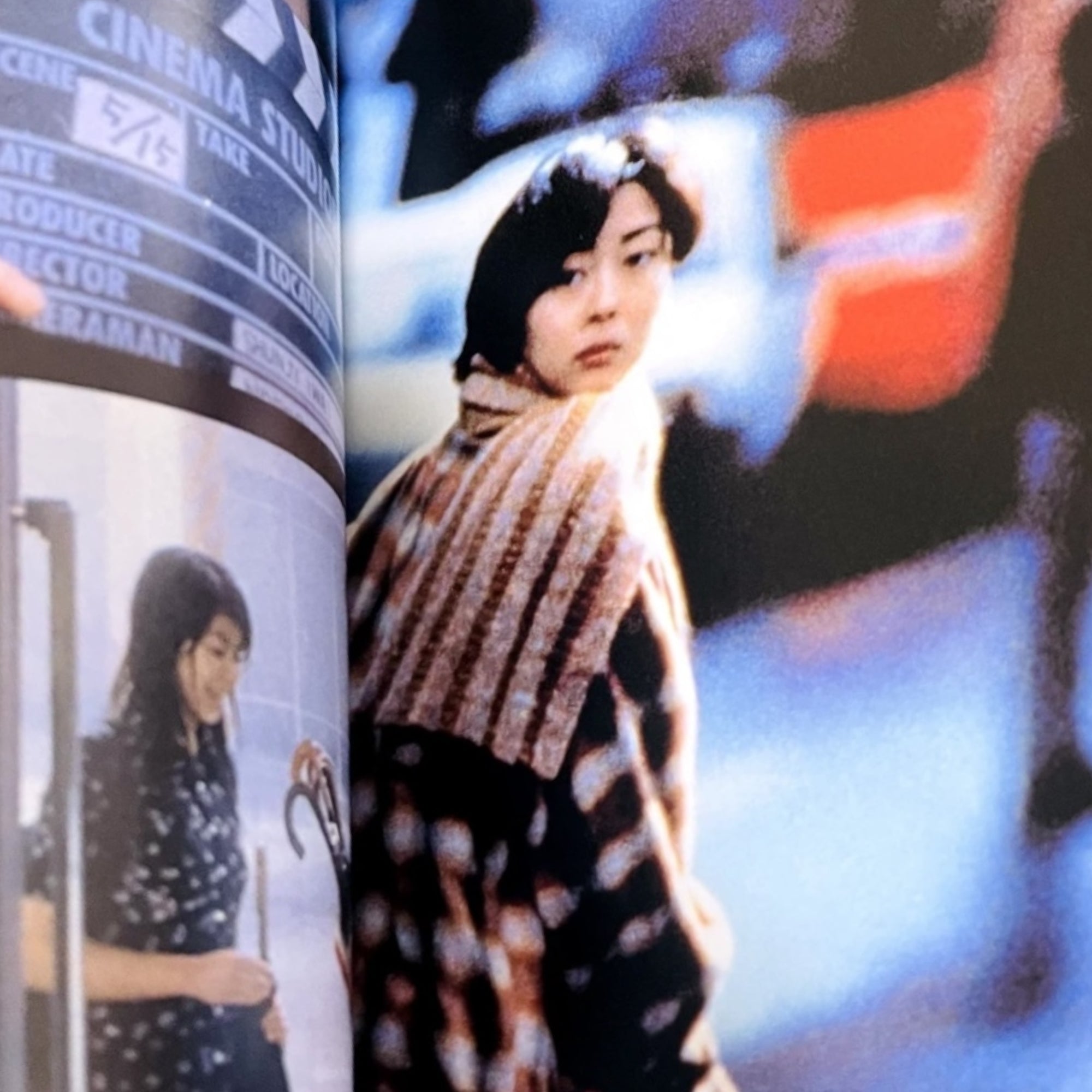 2010 Shunji Iwai Filmmakers Japanese Book