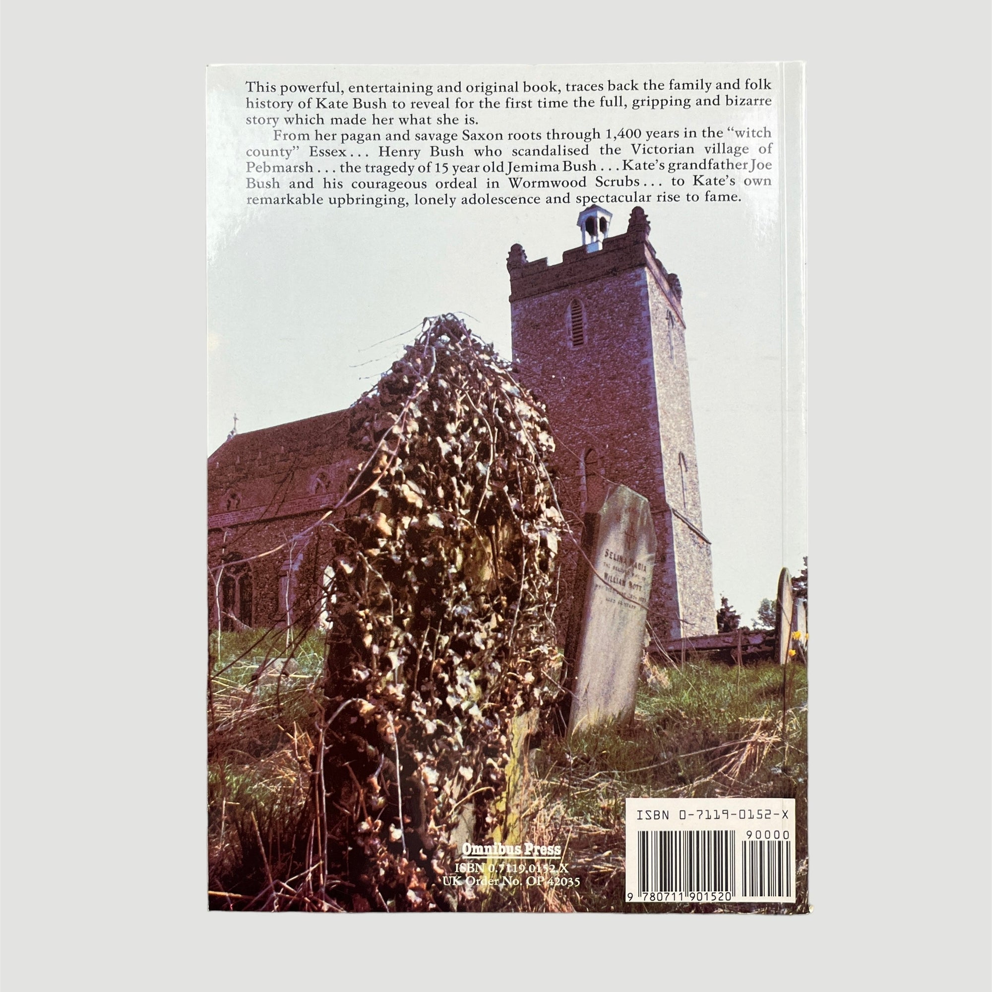 1983 The Secret History of Kate Bush (& The Strange Art of Pop)