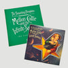 1995 The Smashing Pumpkins Mellon Collie Promo Sticker