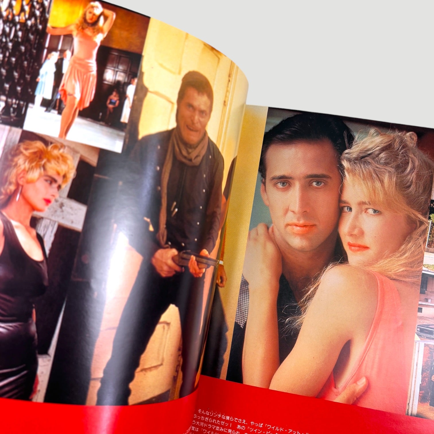 1990 Wild at Heart Japanese Programme