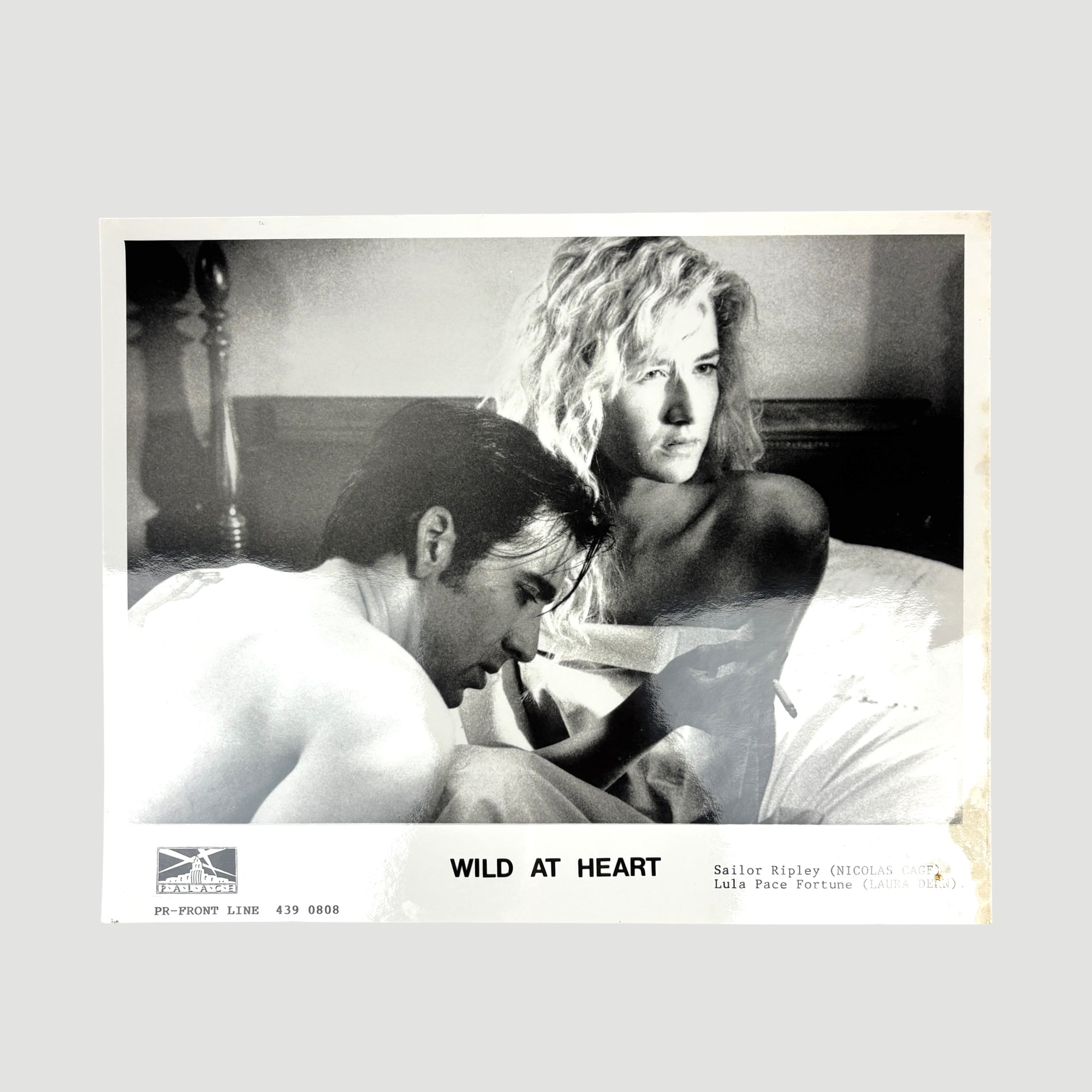 1990 Wild at Heart Press Photo