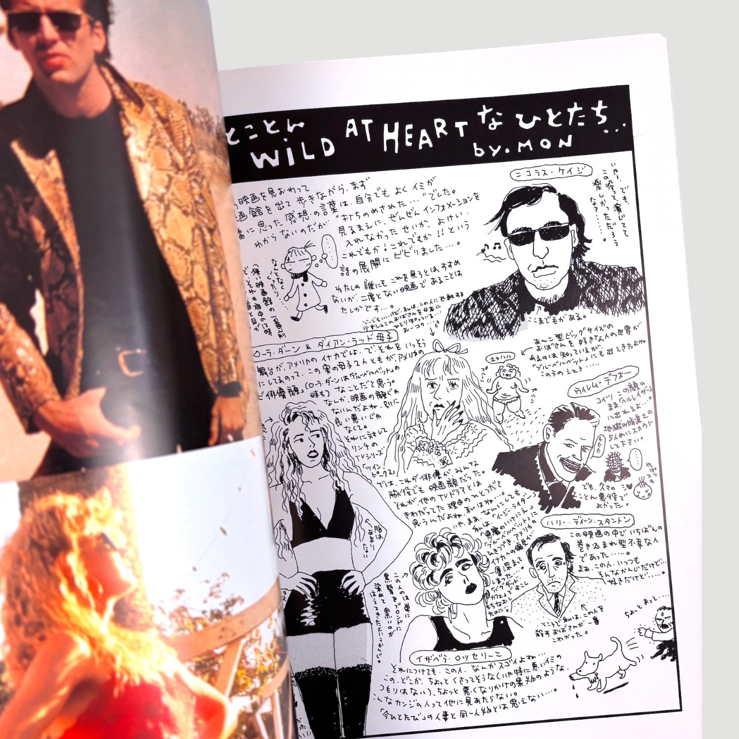 1990 Wild at Heart Japanese Programme