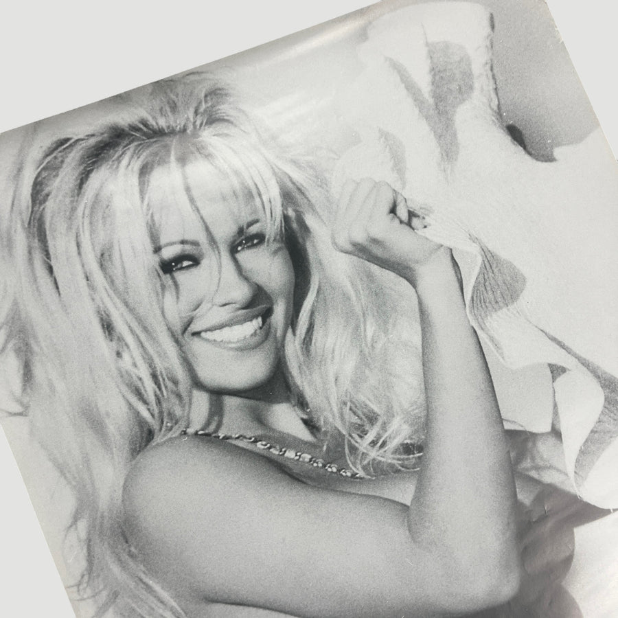 90's Pamela Anderson Door Poster