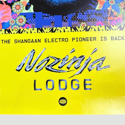 2015 Nozinja Lodge Warp Records Poster