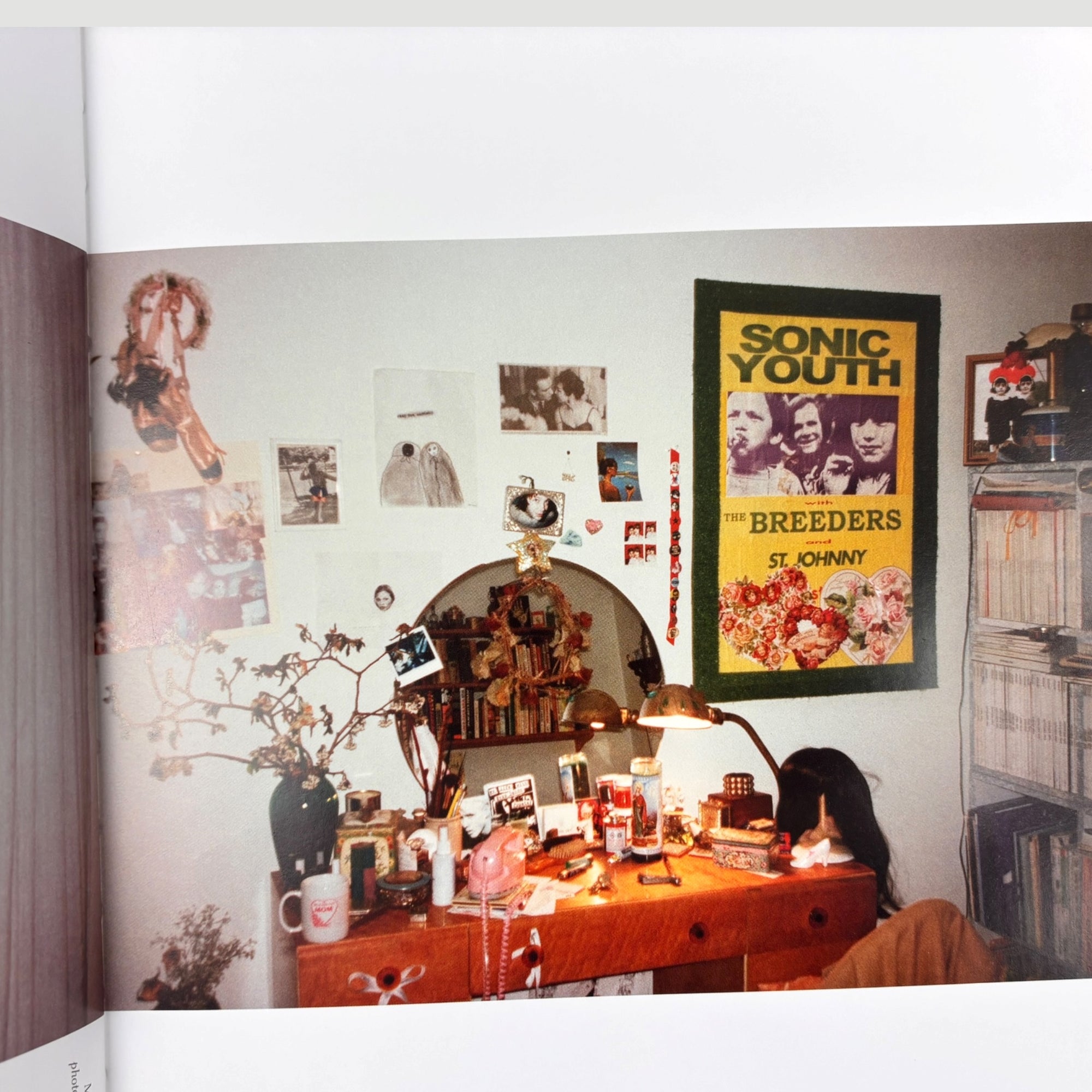 2015 Chloë Sevigny Rizolli Book 1st Edition