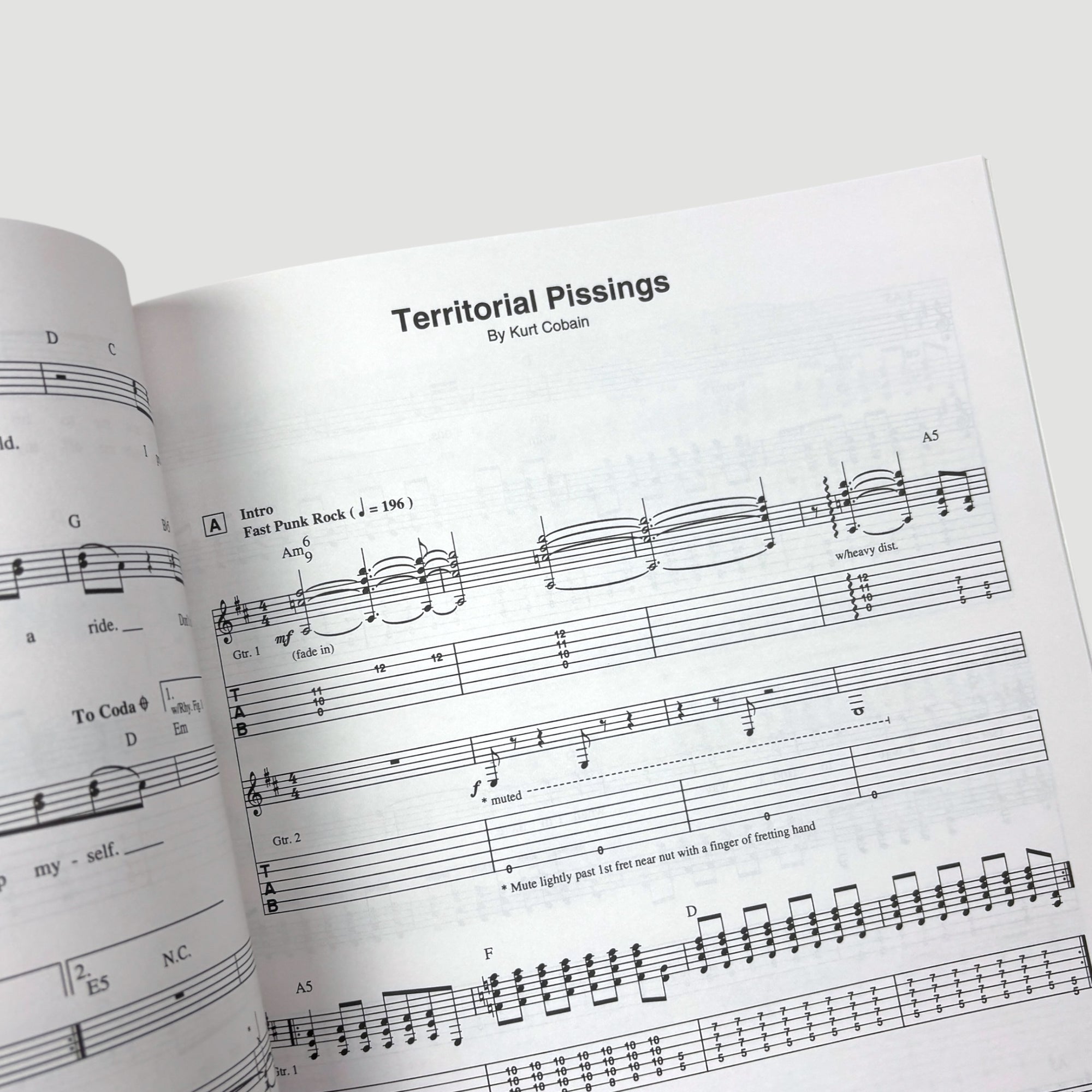 1991 Nirvana Nevermind Guitar Tab/Vocal Book