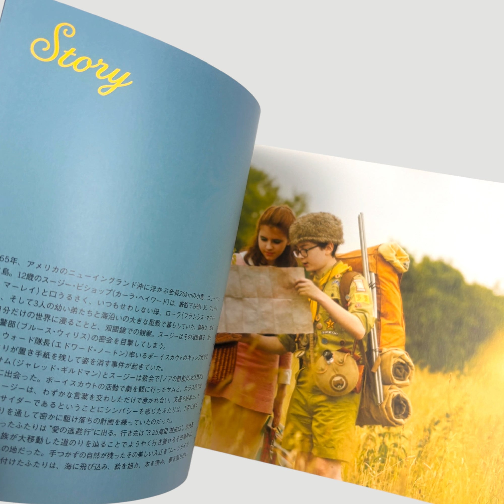 2012 Moonrise Kingdom Japanese Programme