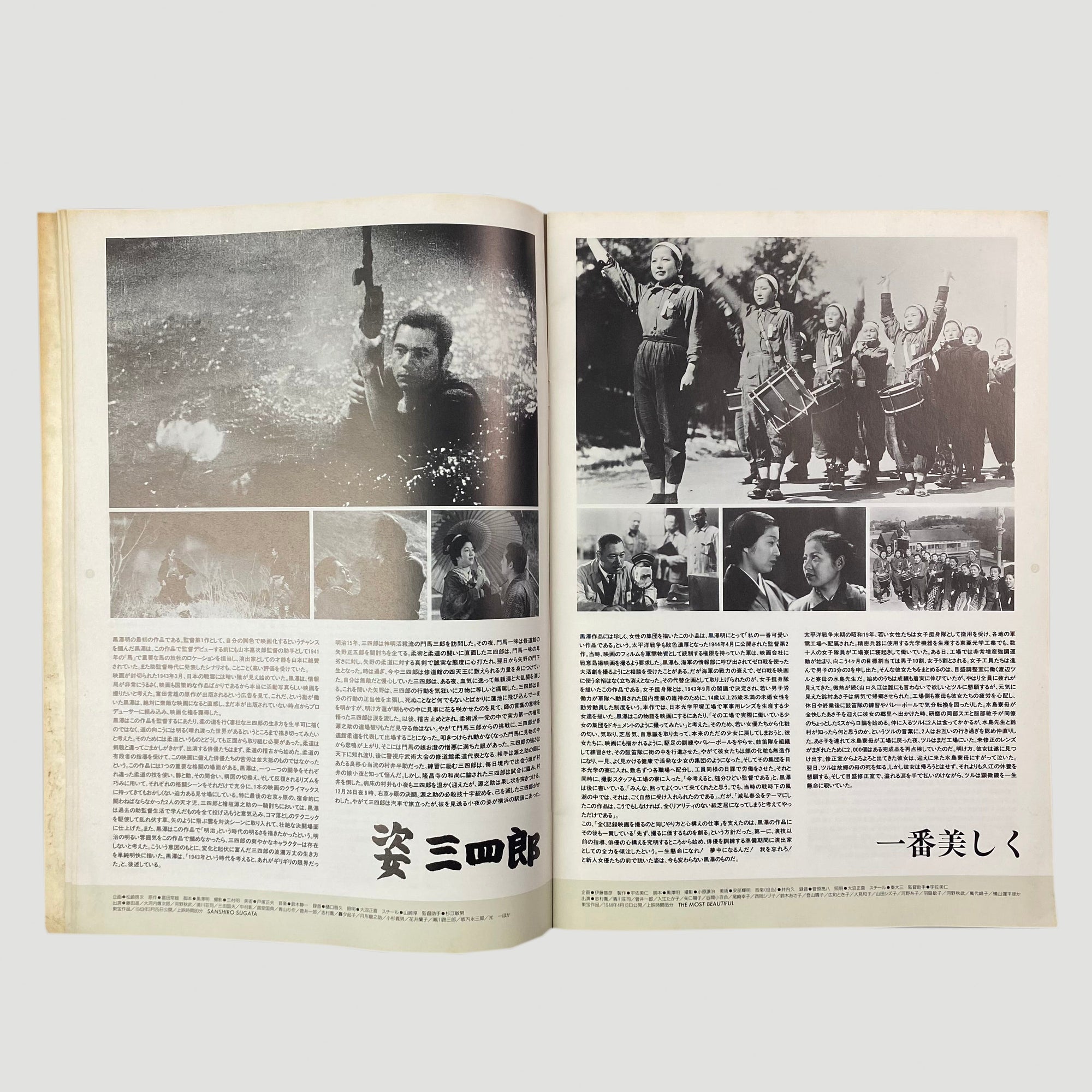 1991 The Art of Akira Kurosawa