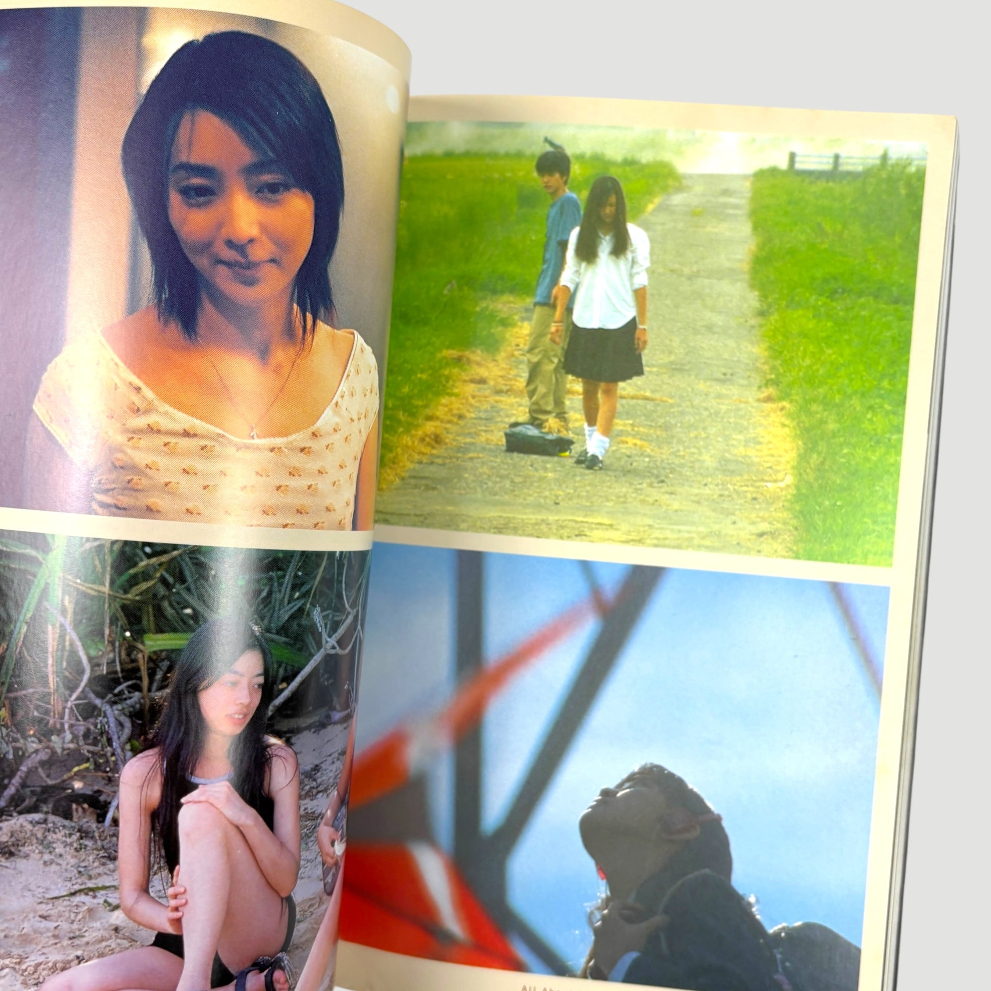 2010 Shunji Iwai Filmmakers 17 Japanese Book