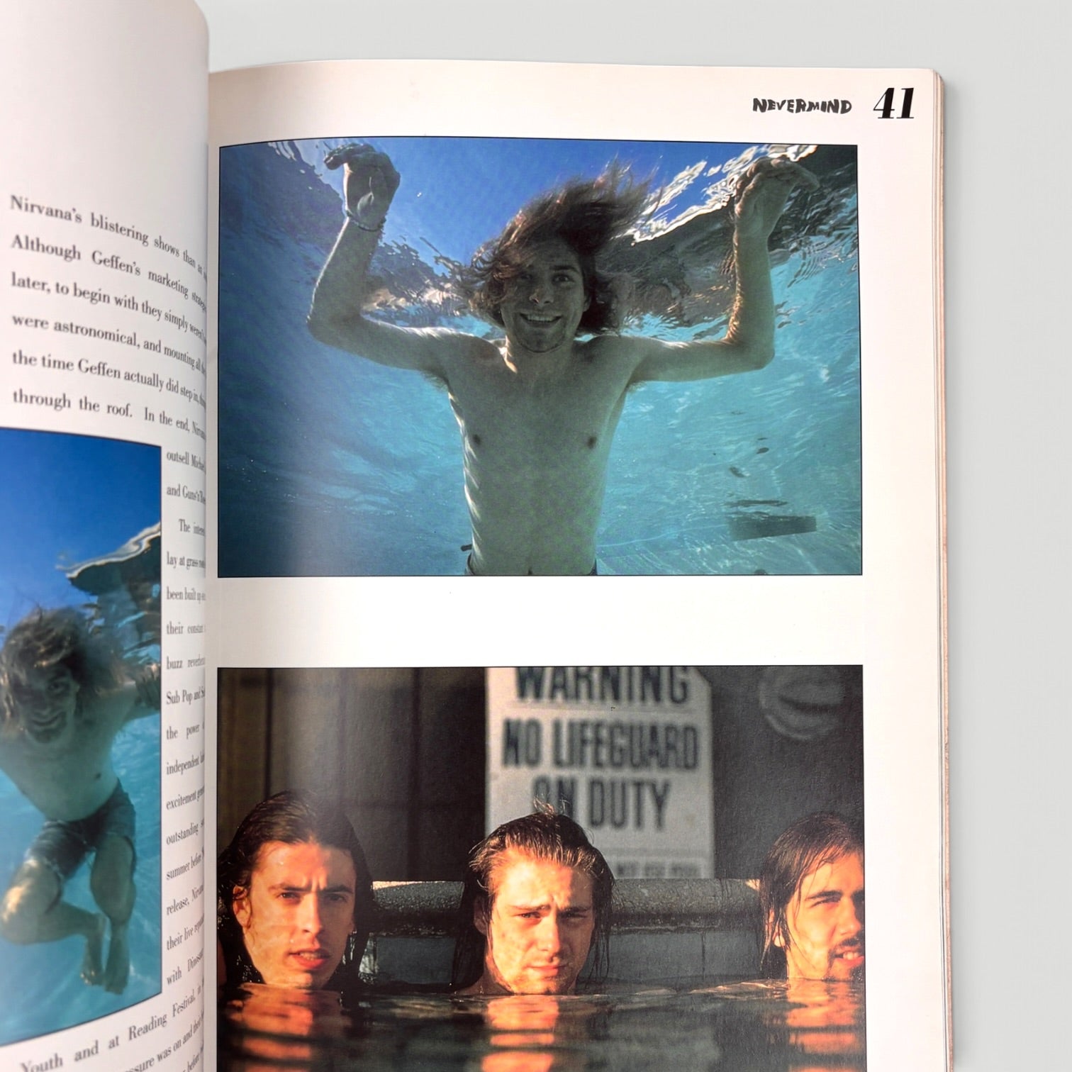 1995 Nirvana Nevermind by Susan Wilson
