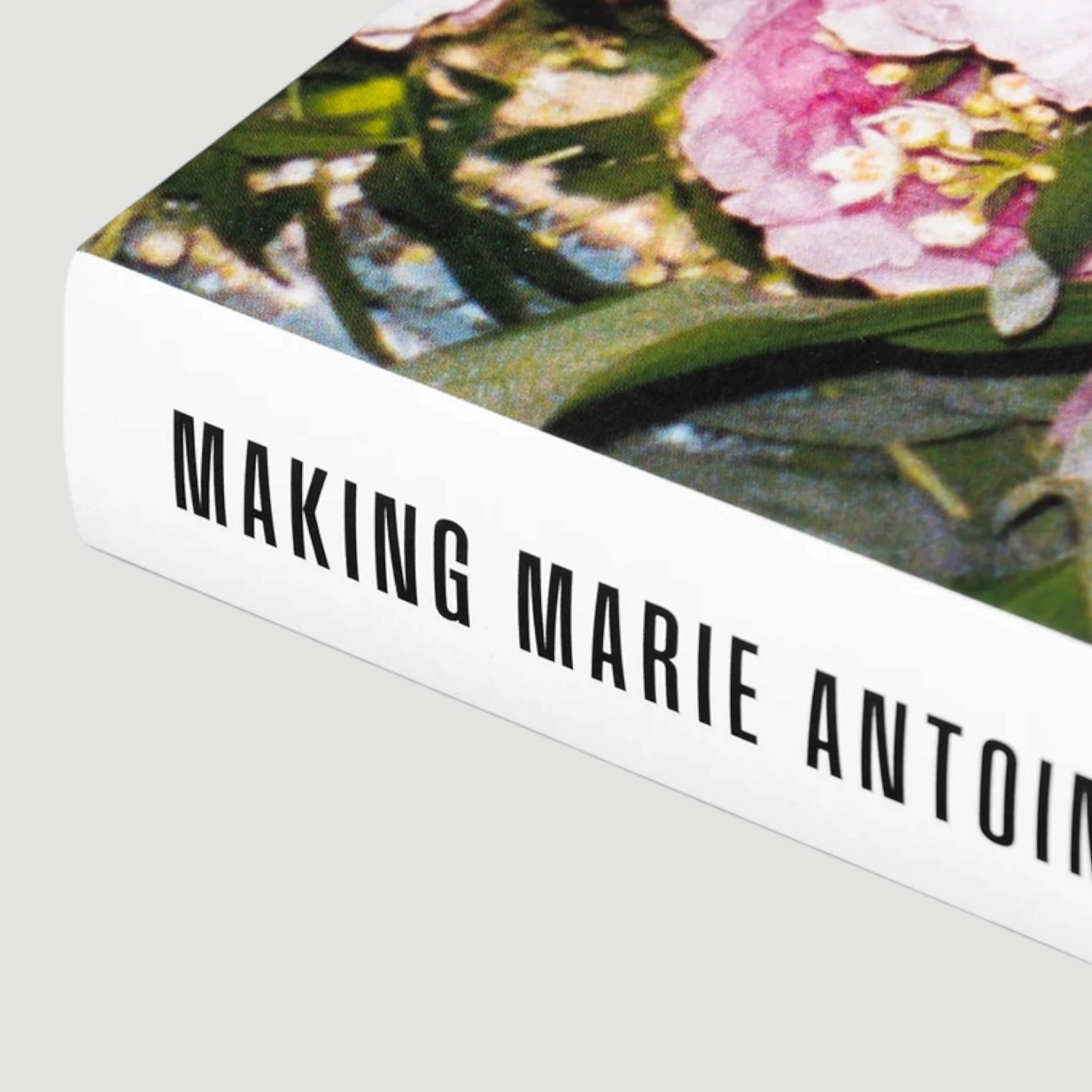 2026 Making Marie Antoinette Photographs by Andrew Durham (New)