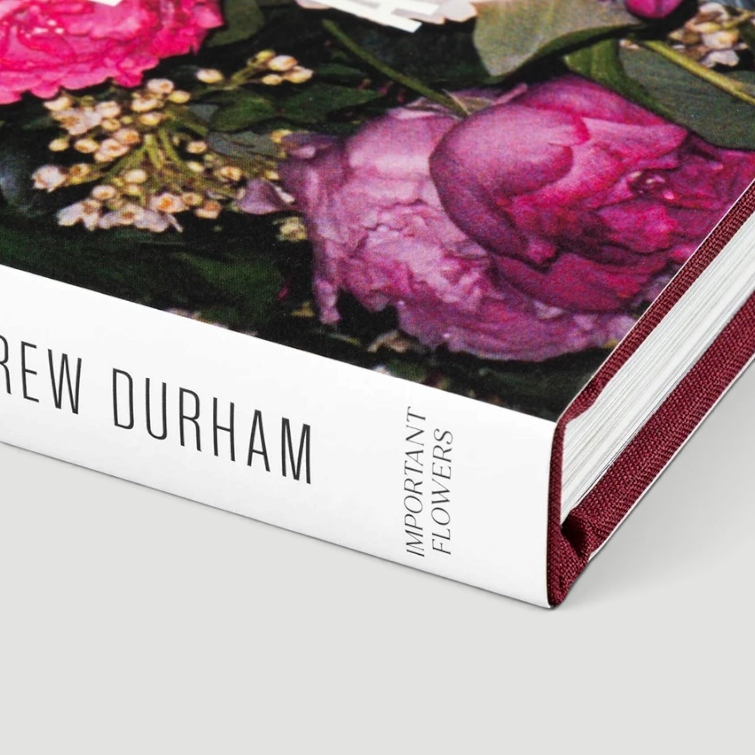 2026 Making Marie Antoinette Photographs by Andrew Durham (New)